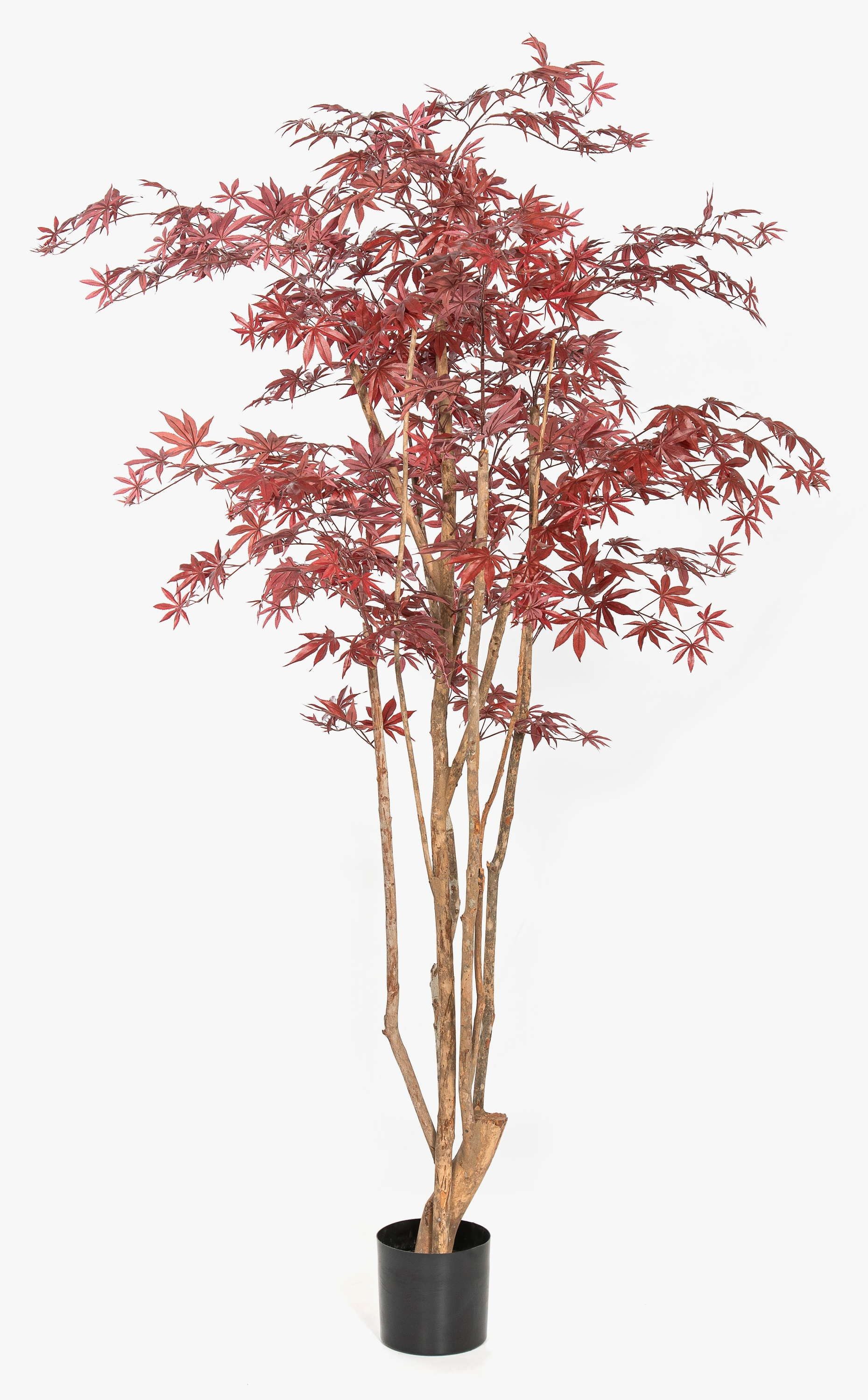 Kunstbaum Japanischer Kunst Ahornbaum ILIANU, Echtstämme, rot, 180cm Ahorn (Japanischer Ahorn), artplants, Höhe 180.0 cm
