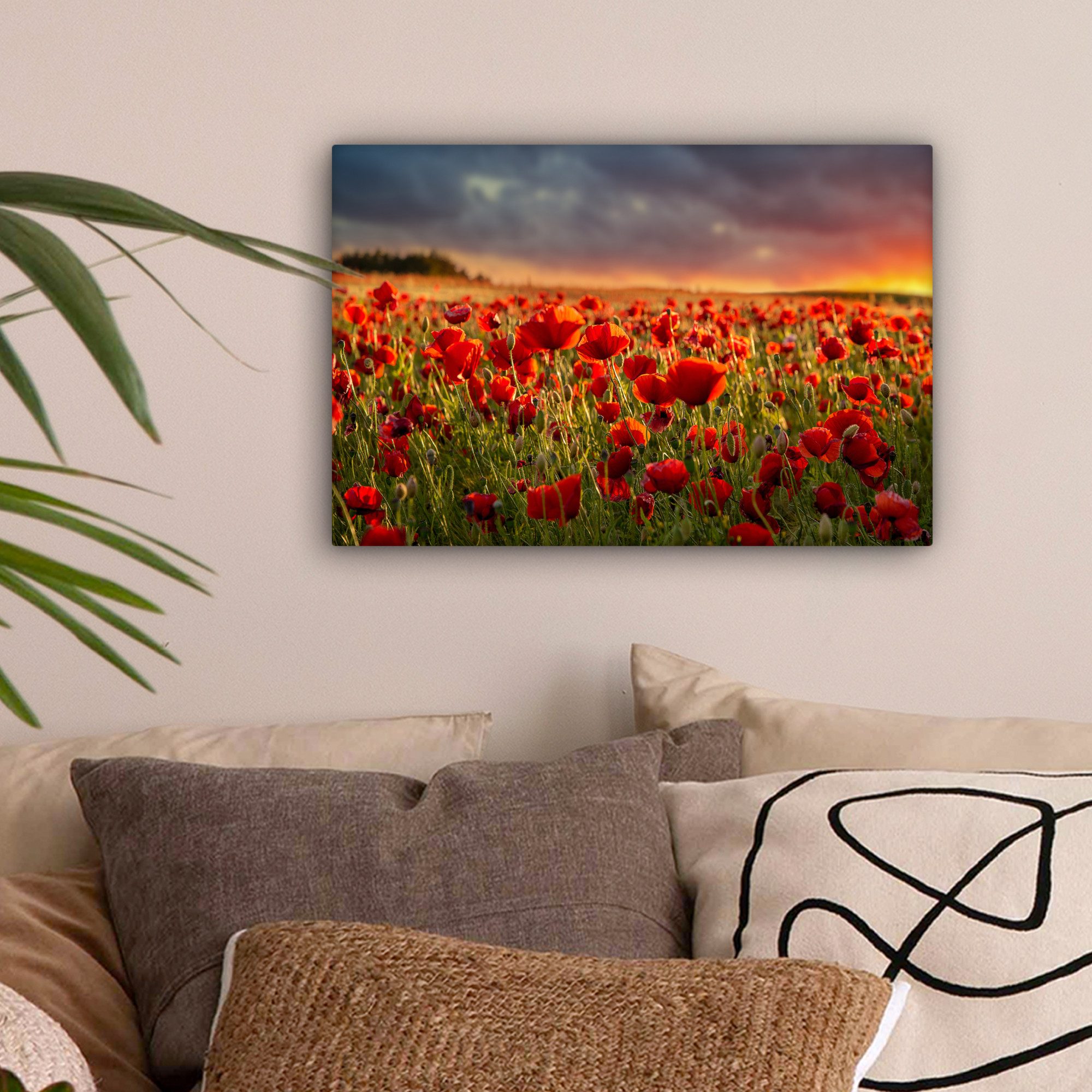 OneMillionCanvasses® Leinwandbild Sonnenuntergang - Mohnblumen - Rot - Blum günstig online kaufen