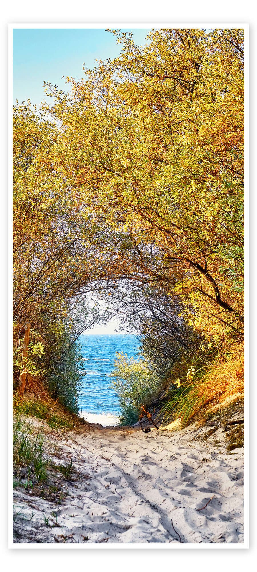 Posterlounge Wandbild Goldene Düne, Editors Choice