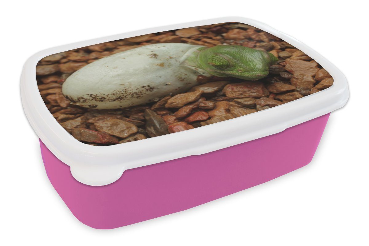 MuchoWow Lunchbox Tier - Chamäleon - Ei, Kunststoff, (2-tlg), Brotbox für Erwachsene, Brotdose Kinder, Snackbox, Mädchen, Kunststoff rosa