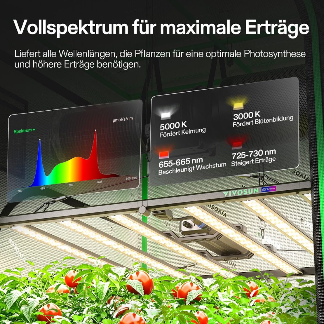 VIVOSUN Gewächshaus VIVOSUN Smart Growbox Komplettset, BxTxH: 60 x 60 x 120 cm, BxLxH: 60 x 60 x 120 cm, LumaLight 100W LED, G4-Abluftsystem und E42A+ Smart-Con – Bild 5 von 5