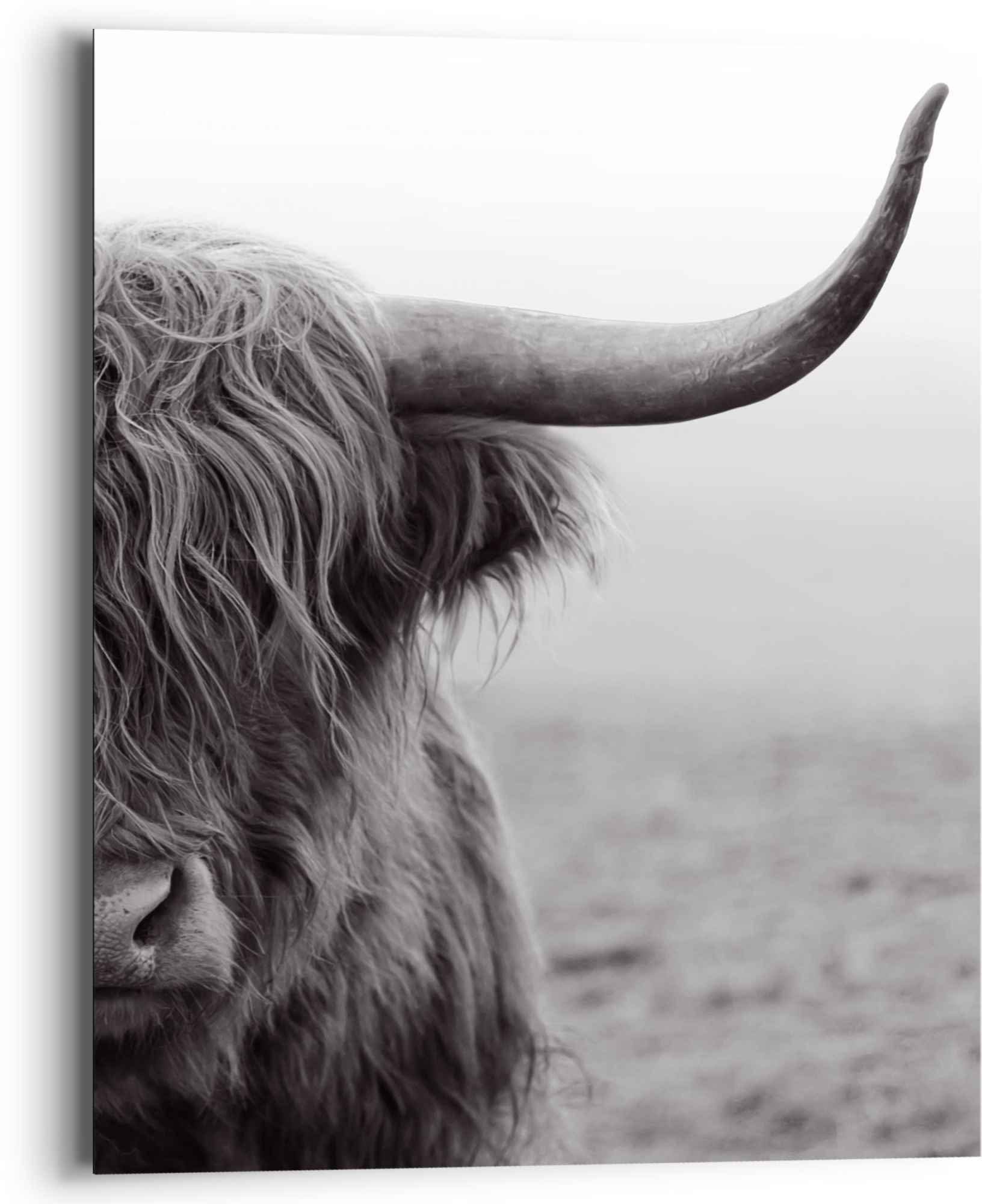 Reinders! Wandbild Wandbild Highlander Hochlandrind, Nahaufnahme (1 St) Bulle - Kuh - Tiermotiv