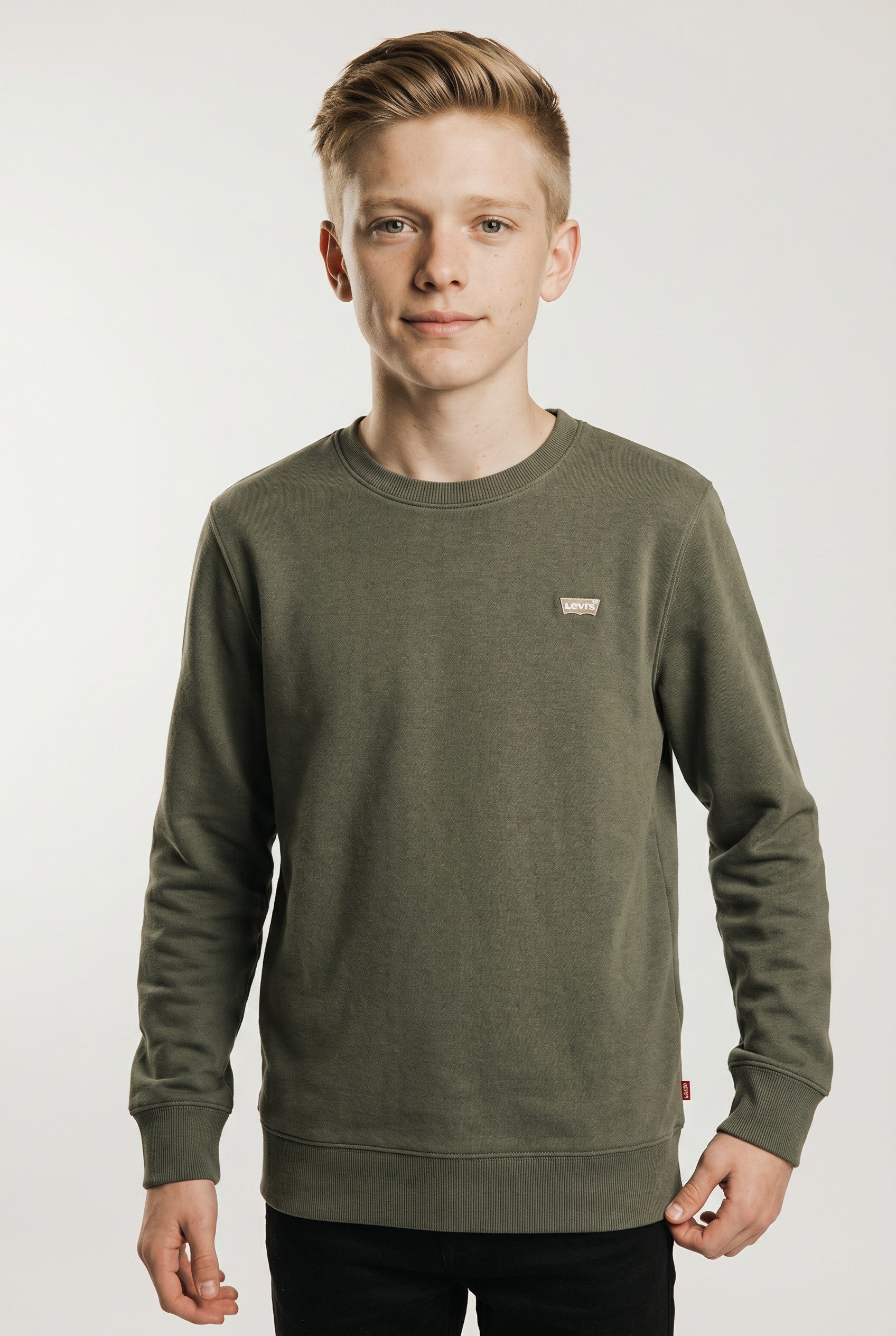 Sweatshirt LVB MINI LOGO CREWNECK SWEAT