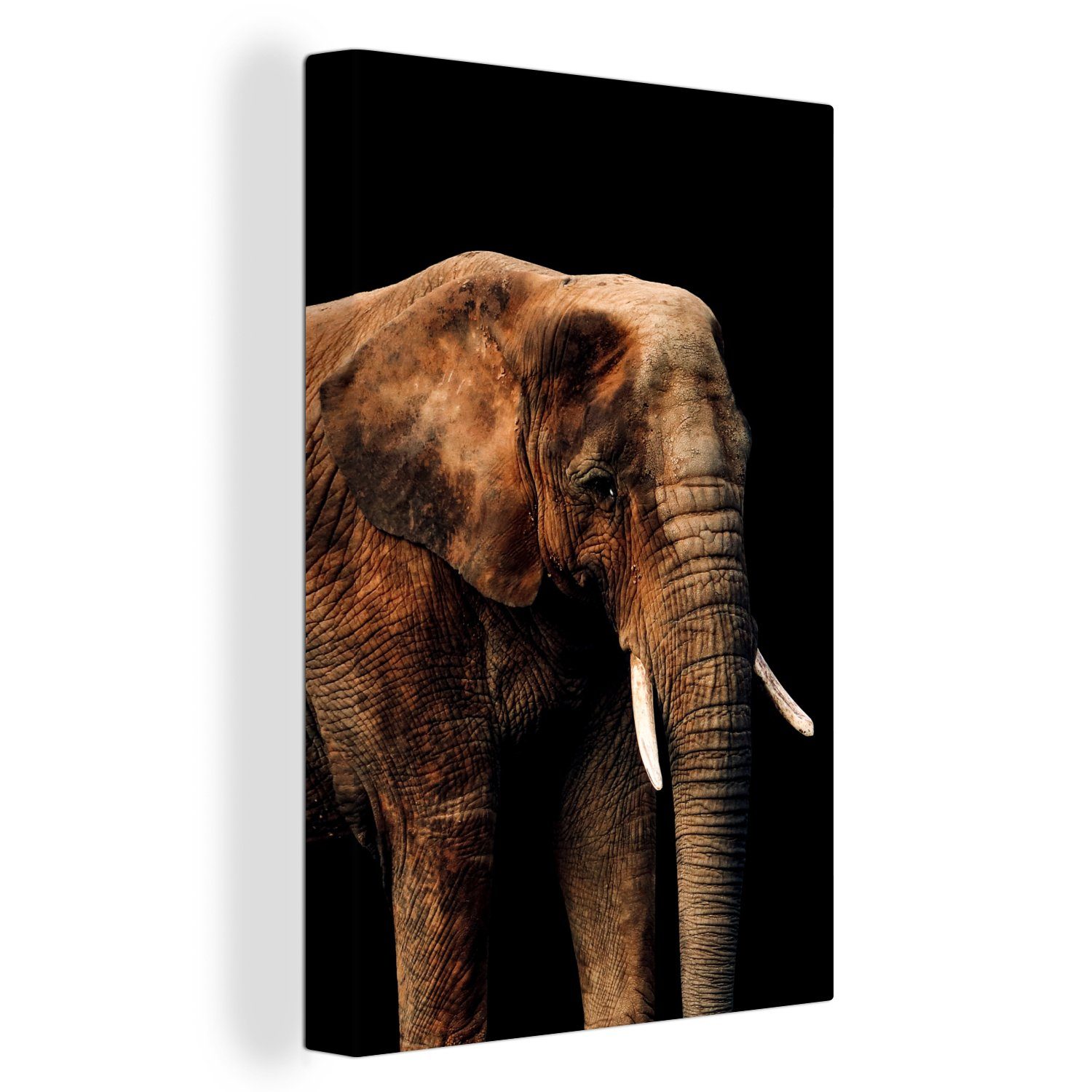 Terrakotta, - Leinwandbild St), - Gemälde, cm Schwarz (1 Elefant OneMillionCanvasses® 20x30 Leinwandbild bespannt fertig Zackenaufhänger, inkl.