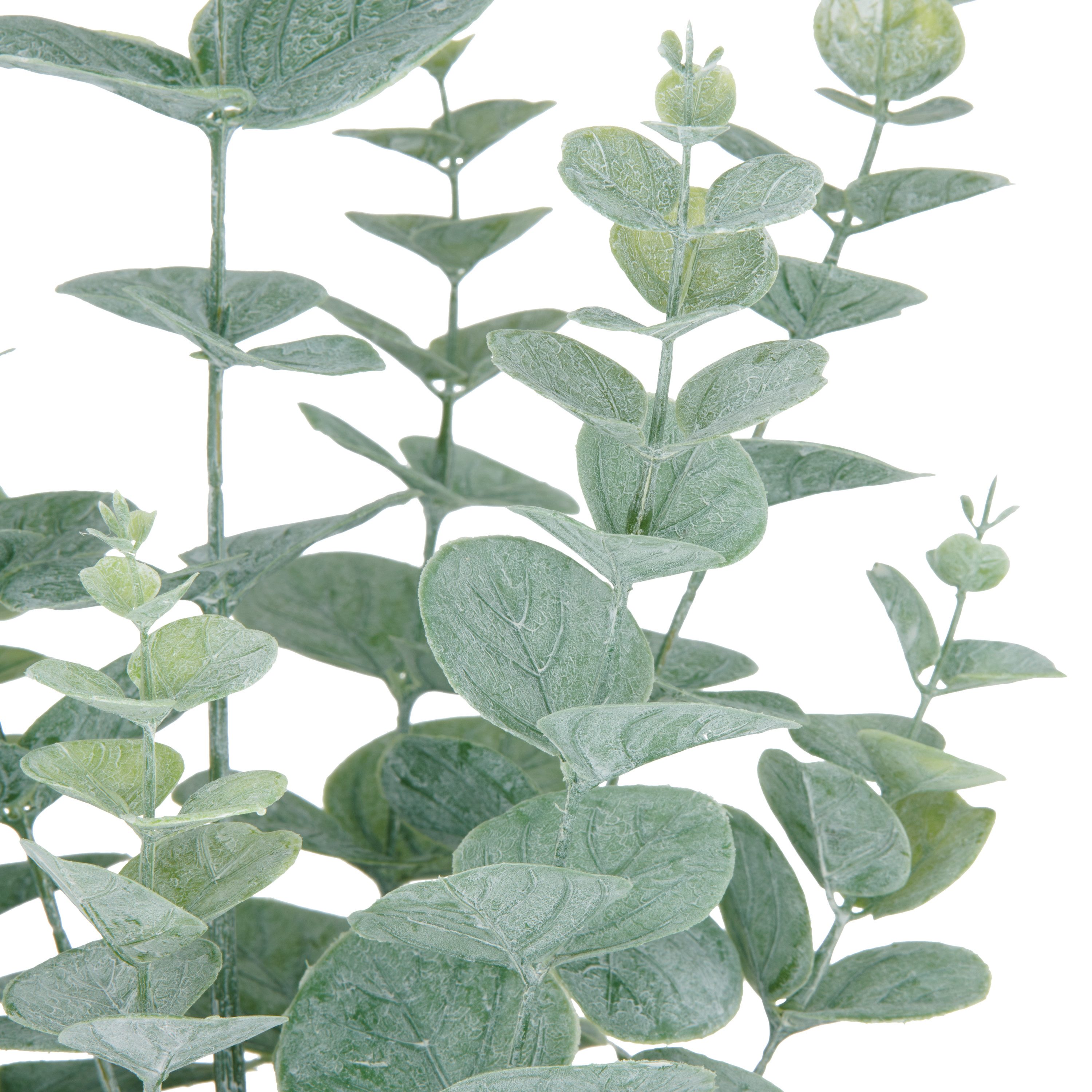 Kunstpflanze Eukalyptus, Creativ green, Höhe 52 cm, mit üppigem Blattwerk günstig online kaufen