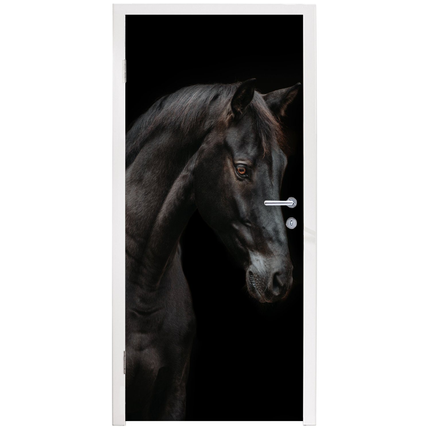 Türtapete für MuchoWow Pferd bedruckt, - Türaufkleber, (1 Fototapete cm Matt, Schwarz, Tür, Tier - St), 75x205