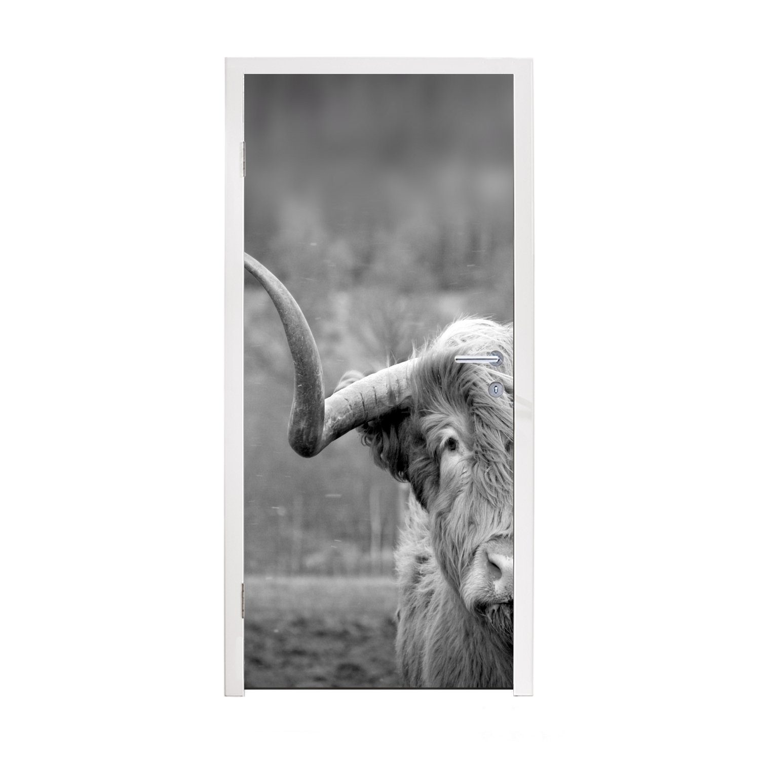 MuchoWow Türtapete Schottischer Highlander - Kuhkopf - Landschaft - Natur - Kuh, Matt, bedruckt, (1 St), Fototapete für Tür, Türaufkleber, 75x205 cm