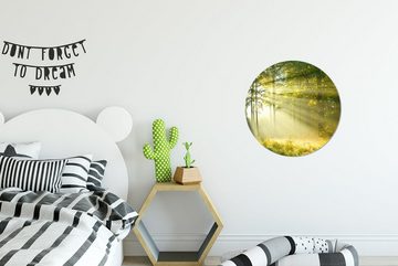 MuchoWow Wandsticker Wald - Licht - Frühling (1 St), Tapetenkreis für Kinderzimmer, Tapetenaufkleber, Rund, Wohnzimmer