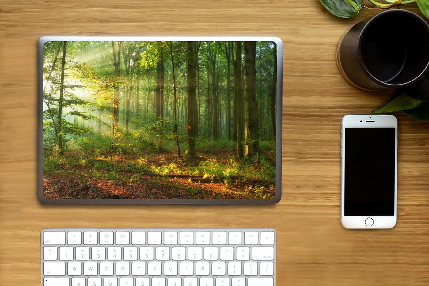 Thumbnail - MuchoWow Laptop-Aufkleber Sonne - Wald - Bäume - Natur - Herbst