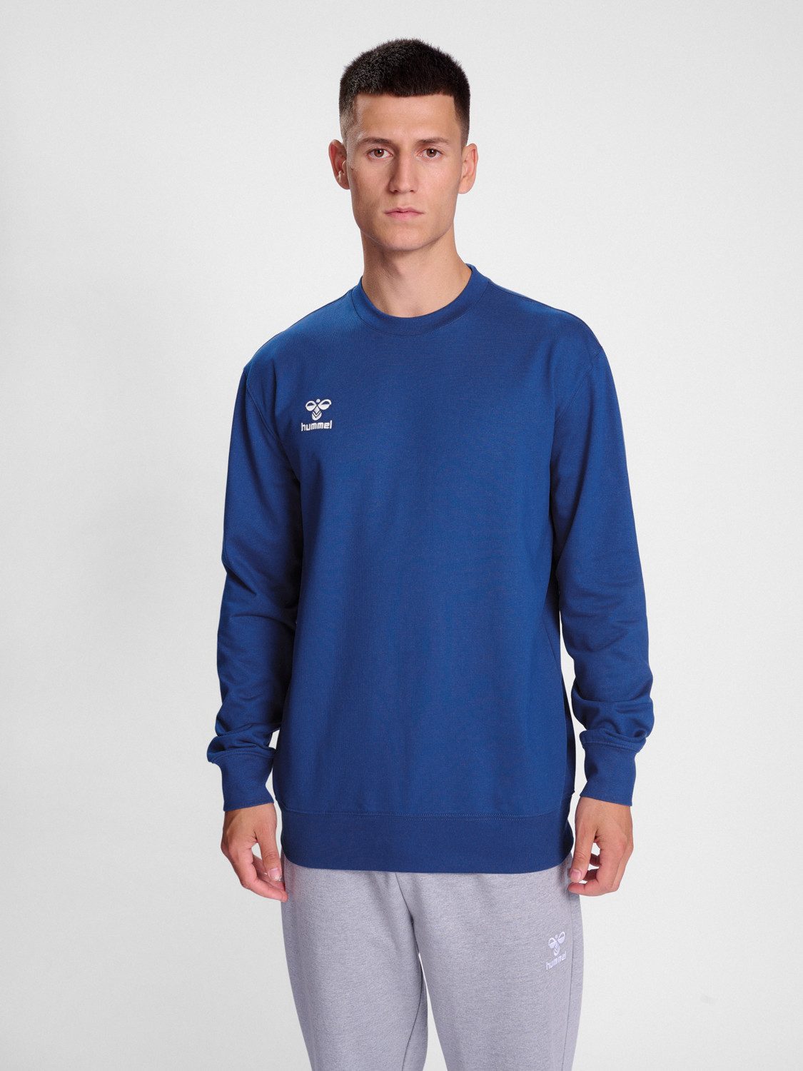 hummel Sweatshirt Regular Fit Sweatstoff Rundhalsausschnitt hmlGO 2.0 SWEAT günstig online kaufen