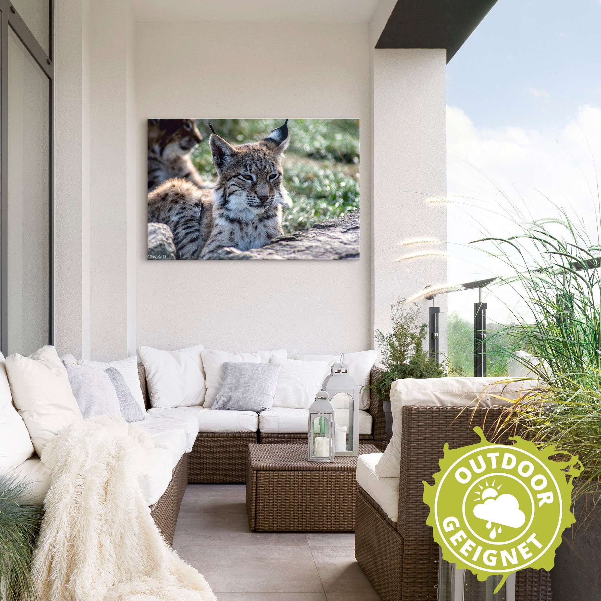 Artland Wandbild »Luchs«, Wildtiere (1 Stück), in vielen Größen & Produktarten - Alubild / Outdoorbild für den Außenbereich, Leinwandbild, Poster, Wandaufkleber / Wandtattoo auch für Badezimmer geeignet-HomeTrends