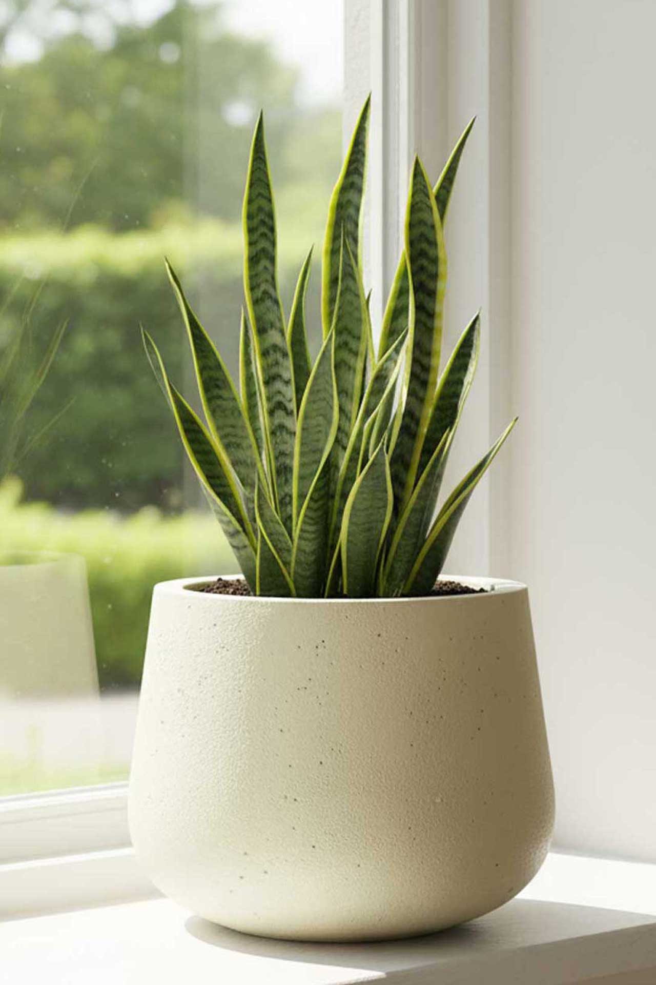 VIVANNO Blumentopf Fiberglas GIRAR Rund - Vesuvbeige Matt (1 St), 36x27 cm