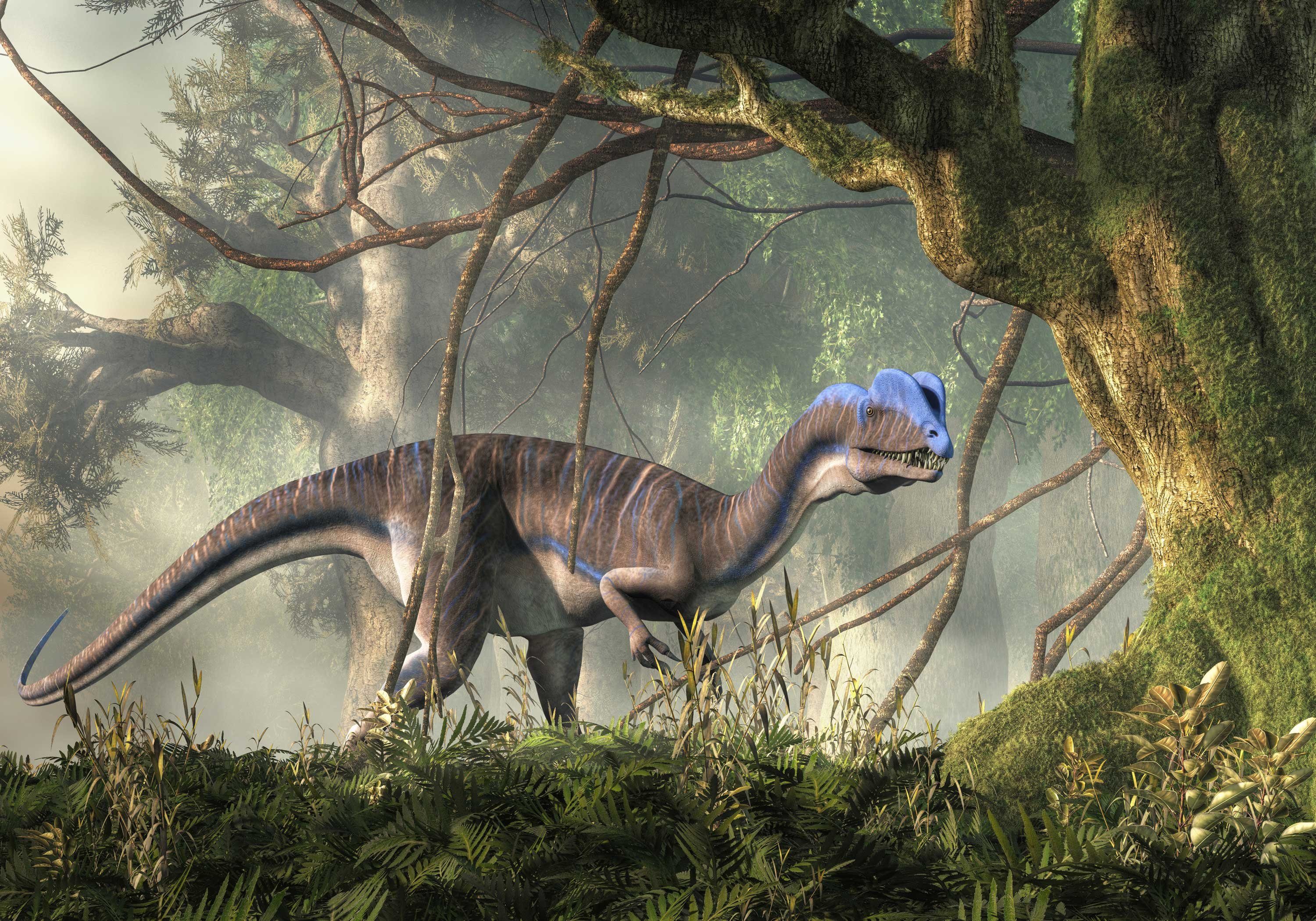 wandmotiv24 Fototapete Dilophosaurus Dino zwischen Bäumen, glatt, Wandtapete, Motivtapete, matt, Vliestapete