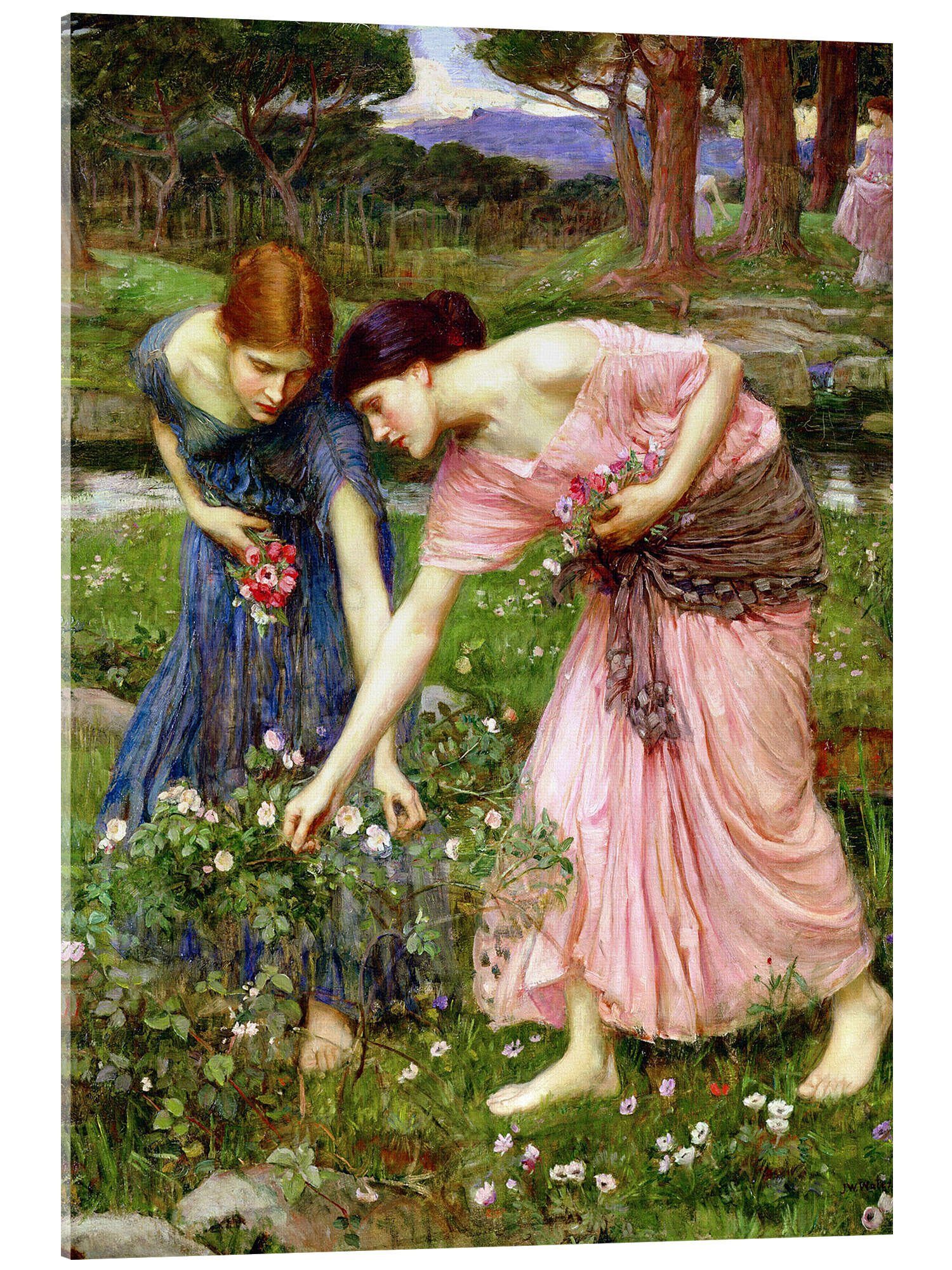 Posterlounge Wandbild Rosenpflücken im Mai, John William Waterhouse, erhältlich als Poster, Leinwandbild, Wandsticker oder Acrylglasbild