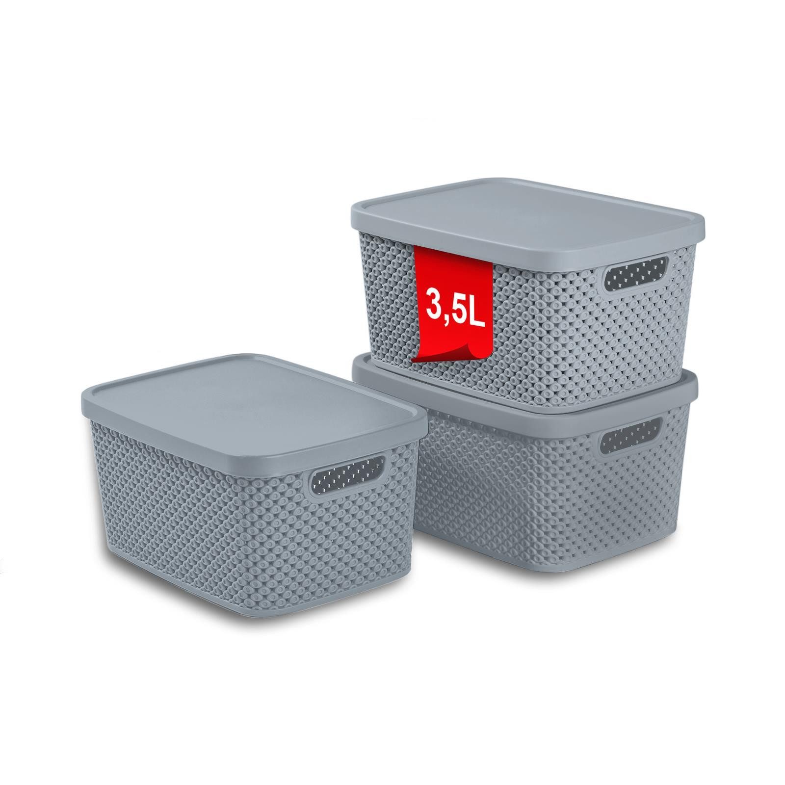 astor24 Aufbewahrungsbox 3er Set Aufbewahrungskorb mit Deckel Box Kiste Regalkorb Organizer (3er Set), erhältlich in 4 Größen und verschiedenen Farben