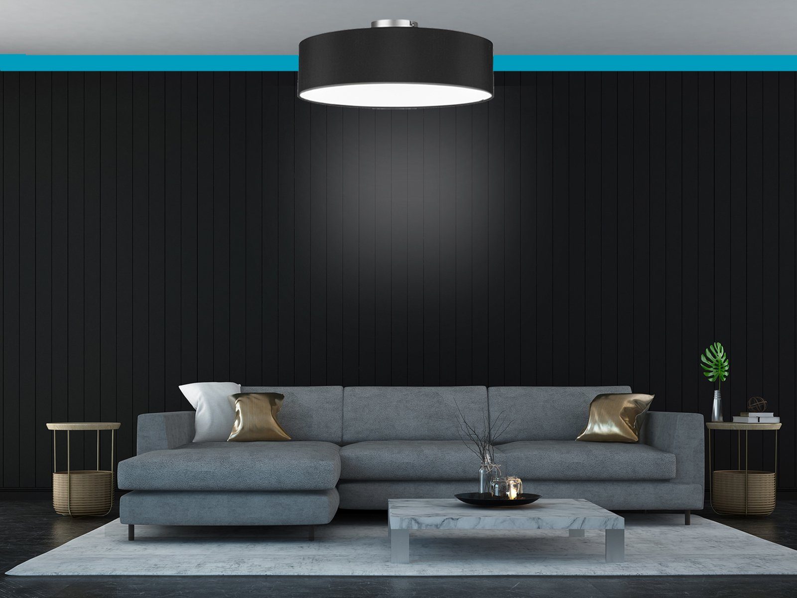 meineWunschleuchte Deckenleuchte, ohne Leuchtmittel, stylische Lampe günstig online kaufen
