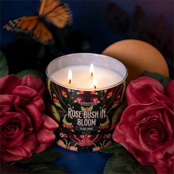 COLONIAL CANDLE Duftkerze Duftkerze Rose Bush in Bloom - 411g (1.tlg)