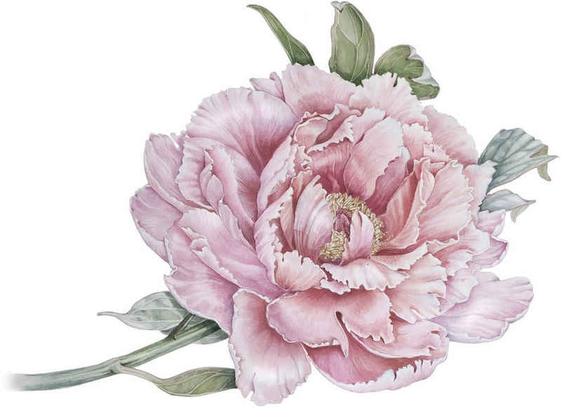 Rosa Blumen Wandtattoos online kaufen | OTTO