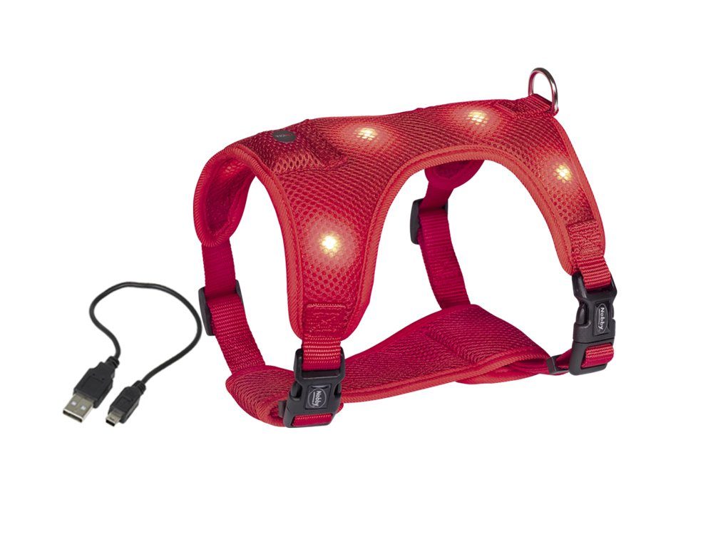 Hunde-Geschirr Flash Mesh