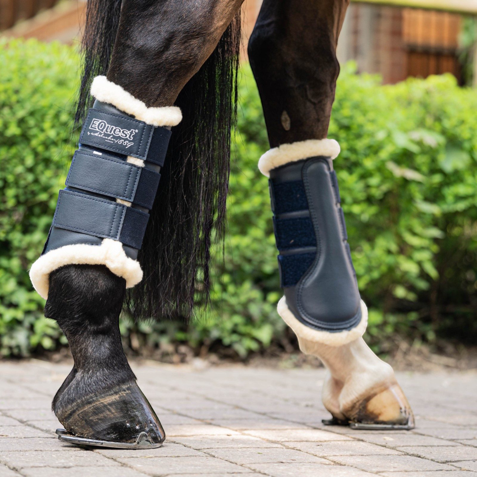 EQuest Gamaschen Softgamasche für Pferde, 2er Set, Navy/Natur, L