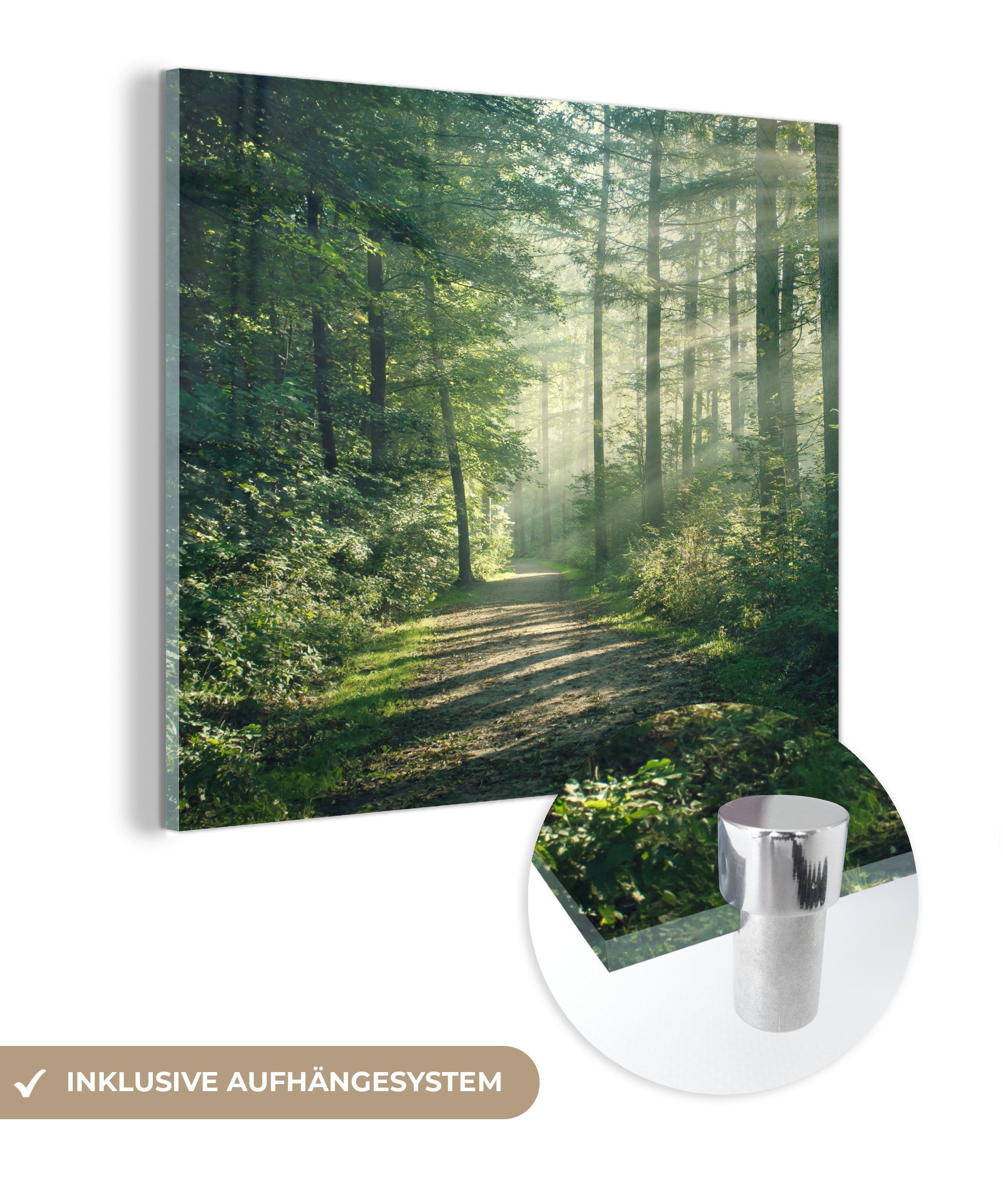 MuchoWow Acrylglasbild Wald - Weg - Sonne - Bäume - Grün - Natur, (1 St), Glasbilder - Bilder auf Glas Wandbild - Foto auf Glas - Wanddekoration