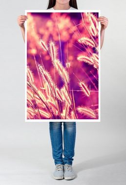 Sinus Art Poster Naturfotografie 60x90cm Poster Schilfrohr im warmen Sonnenlicht