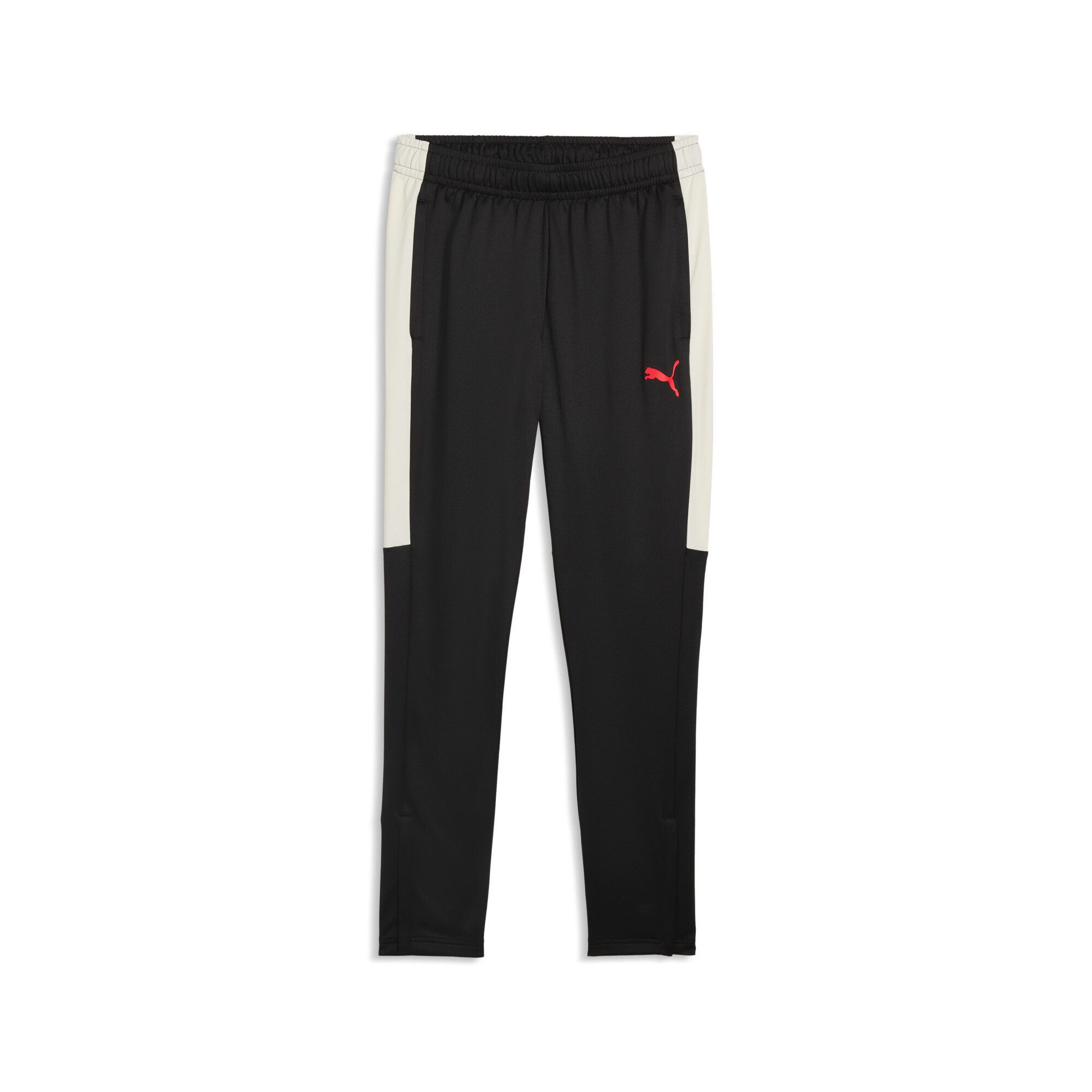 PUMA Sporthose IndividualLIGA Trainingshose Herren
