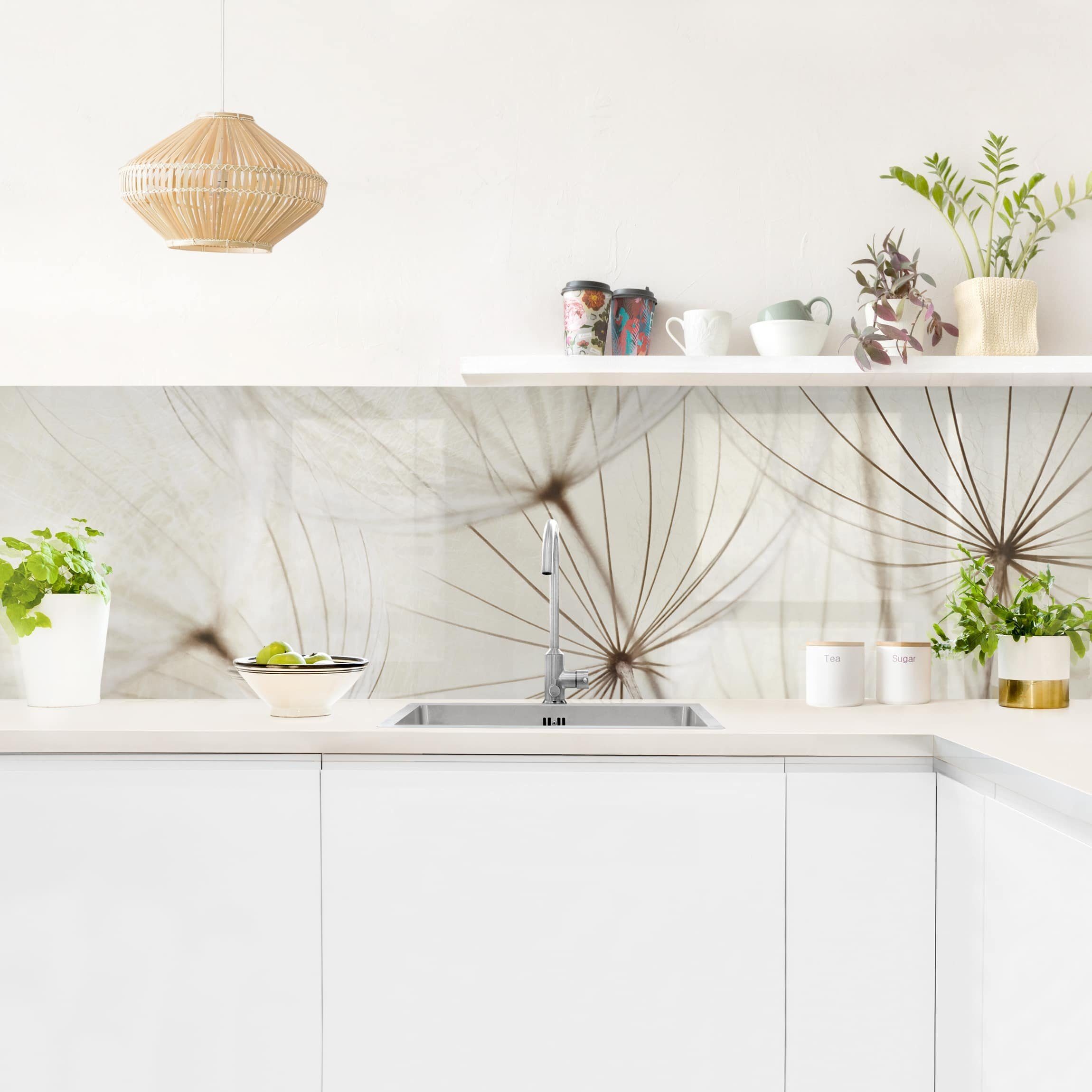 Bilderdepot24 Küchenrückwand weiß dekor Botanik Tropisch Vintage Blumen Lan günstig online kaufen