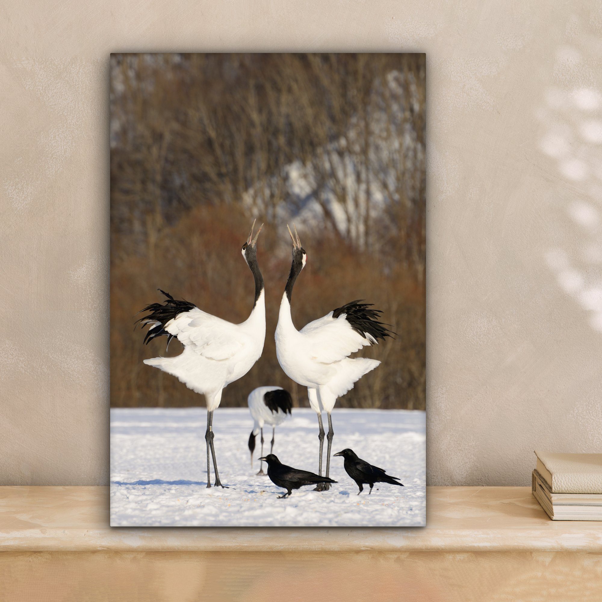 OneMillionCanvasses® Leinwandbild Kraniche cm Schnee, einen 20x30 inkl. fertig Zackenaufhänger, japanische im Gemälde, Leinwandbild (1 St), Zwei vollführen Paarungstanz bespannt