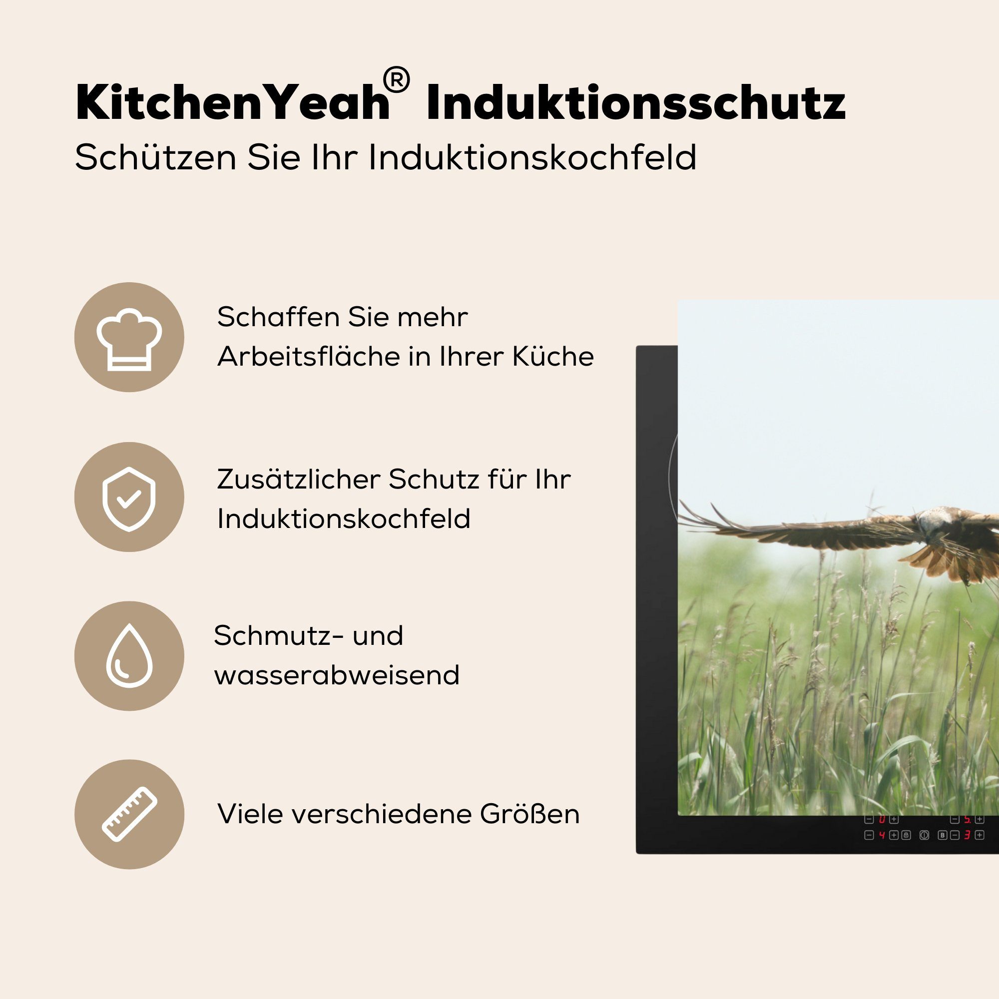 MuchoWow Herdblende-/Abdeckplatte Kornweihe Ceranfeldabdeckung, Vogel, Vinyl, - - tlg), Arbeitsplatte küche (1 Gras cm, 78x78 für