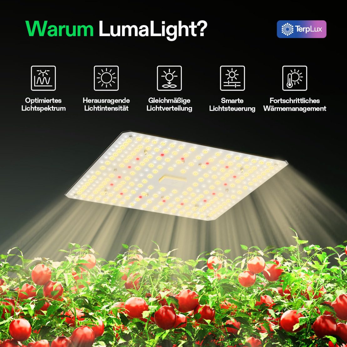 VIVOSUN Pflanzenlampe VIVOSUN LumaLight, LED fest integriert, Vollspektrum, 100W High-PPFD für Indoor-Pflanzen