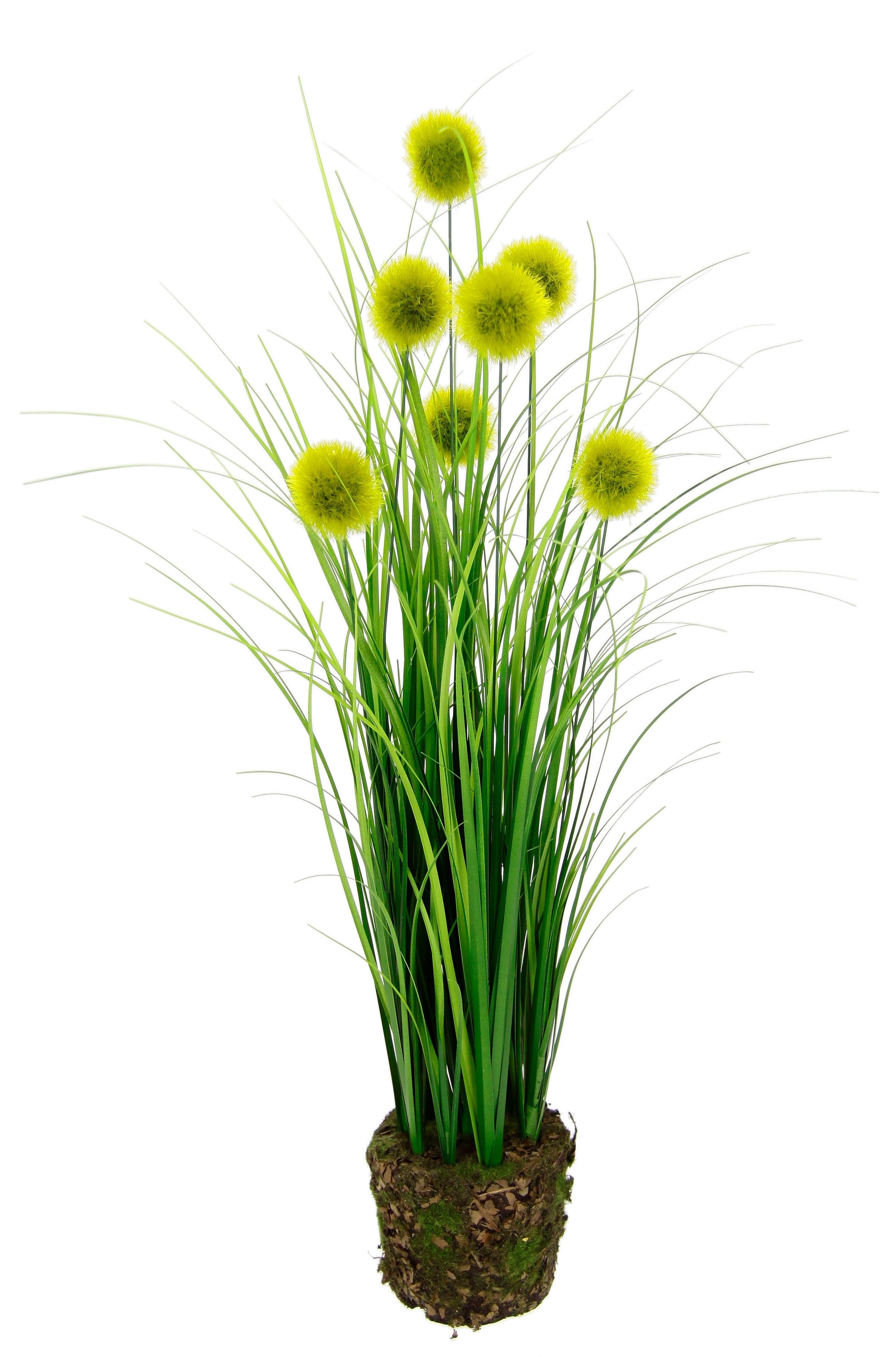 Kunstpflanze Knopfgras im Erdtopf, I.GE.A., Höhe 50 cm, Grasbusch Kunstblume Dekogras