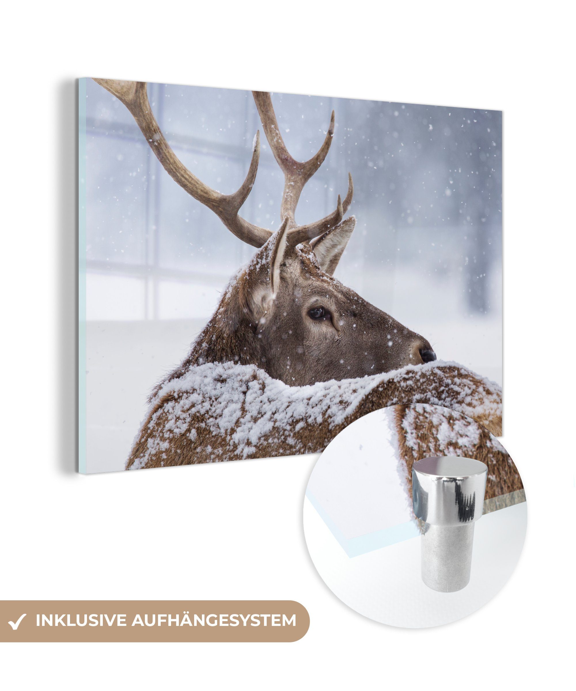 - Wohnzimmer St), - Acrylglasbild & Winter, Acrylglasbilder MuchoWow Schlafzimmer (1 Schnee Hirsche Geweihe -