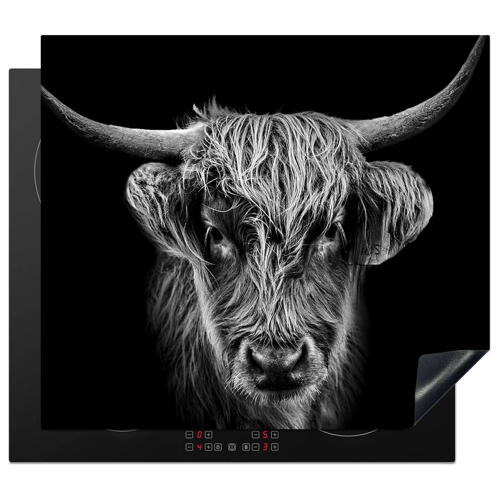 MuchoWow Herdblende-/Abdeckplatte Schottischer Highlander - Schwarz - Kuh - Tiere, Vinyl, (1 tlg), 58x51 cm, Küchen Dekoration für Induktionsherd, Induktionskochfeld