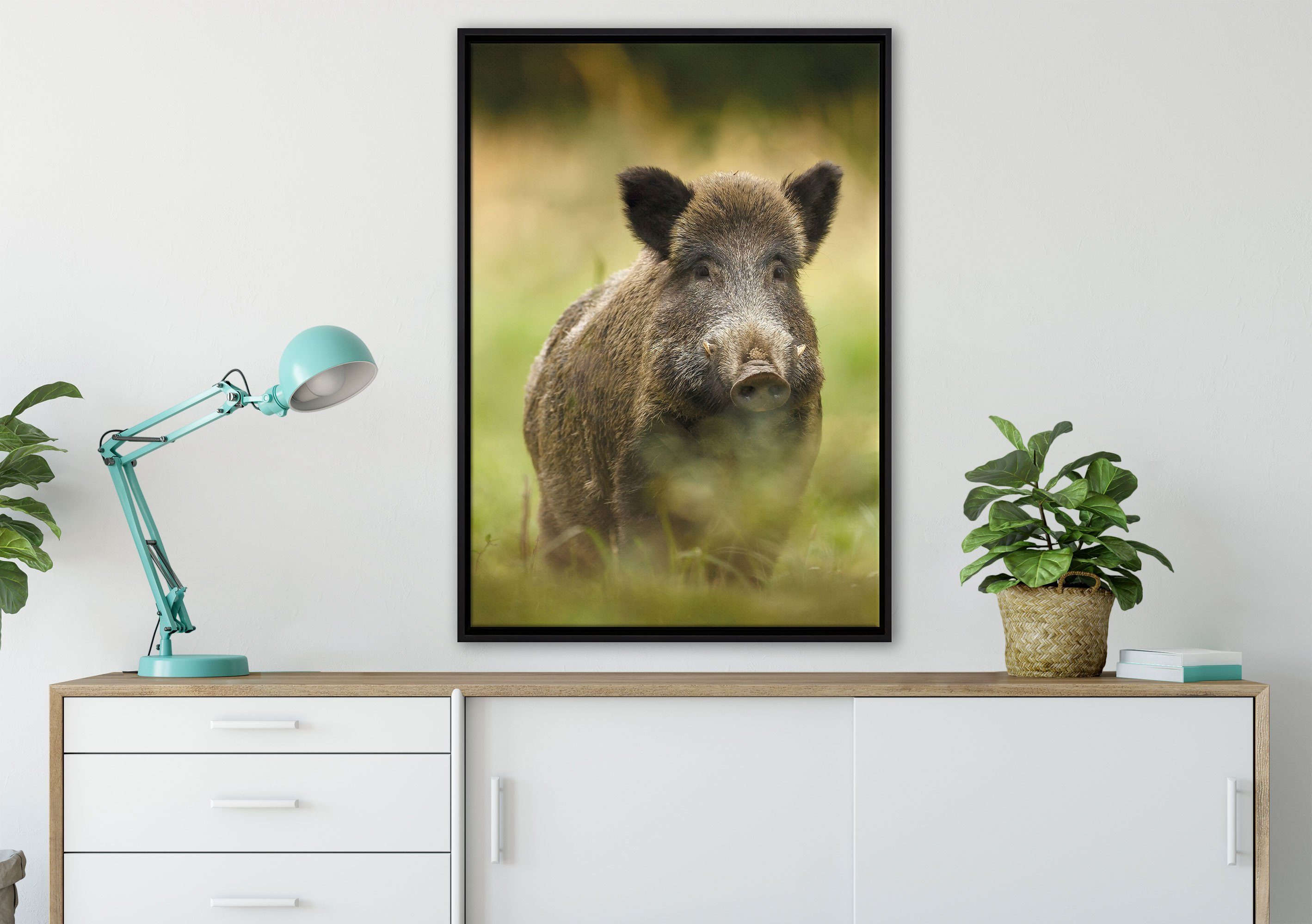 gefasst, bespannt, fertig Leinwandbild Wiese, einem St), Pixxprint Schattenfugen-Bilderrahmen inkl. Wildschwein Leinwandbild auf Zackenaufhänger in Wanddekoration (1