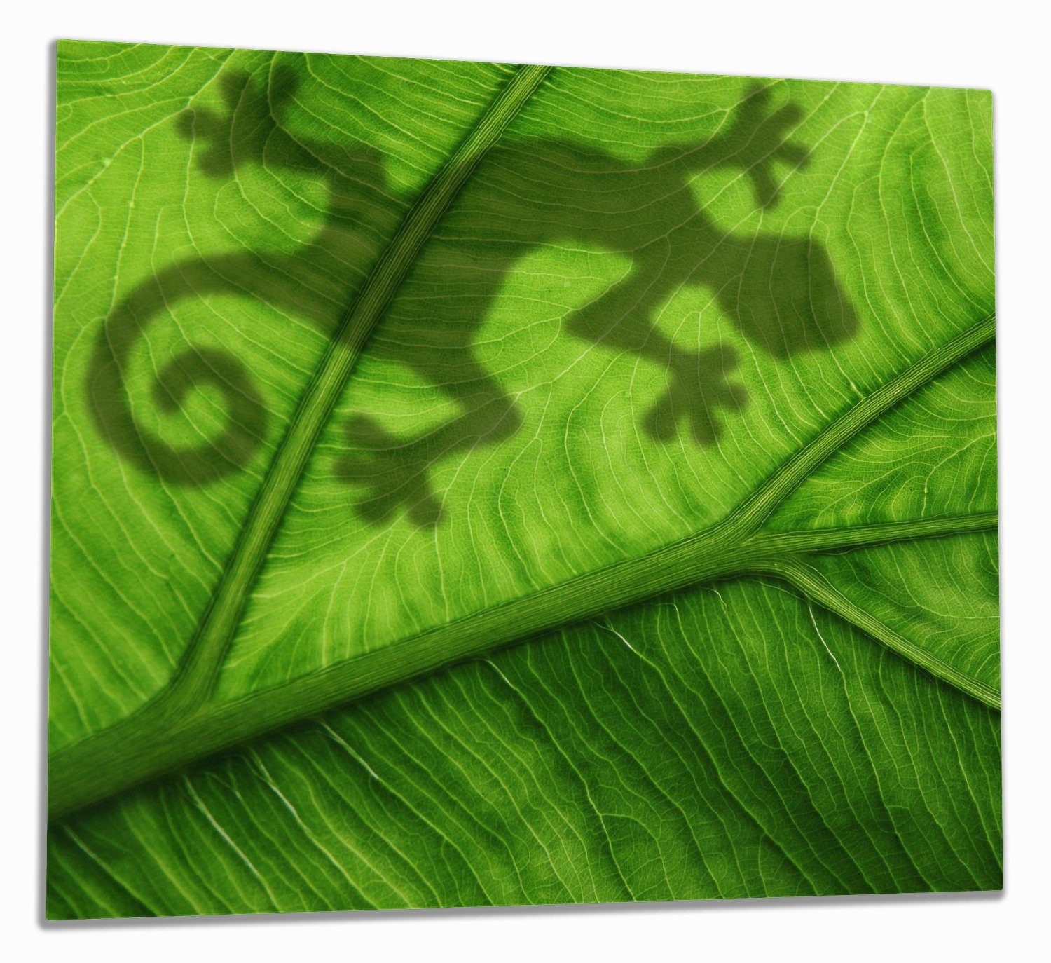 Wallario Herd-Abdeckplatte Gecko Schatten auf grünem Blatt - Umriss, ESG-Sicherheitsglas, (Glasplatte, 1 tlg., inkl. 5mm Noppen), verschiedene Größen