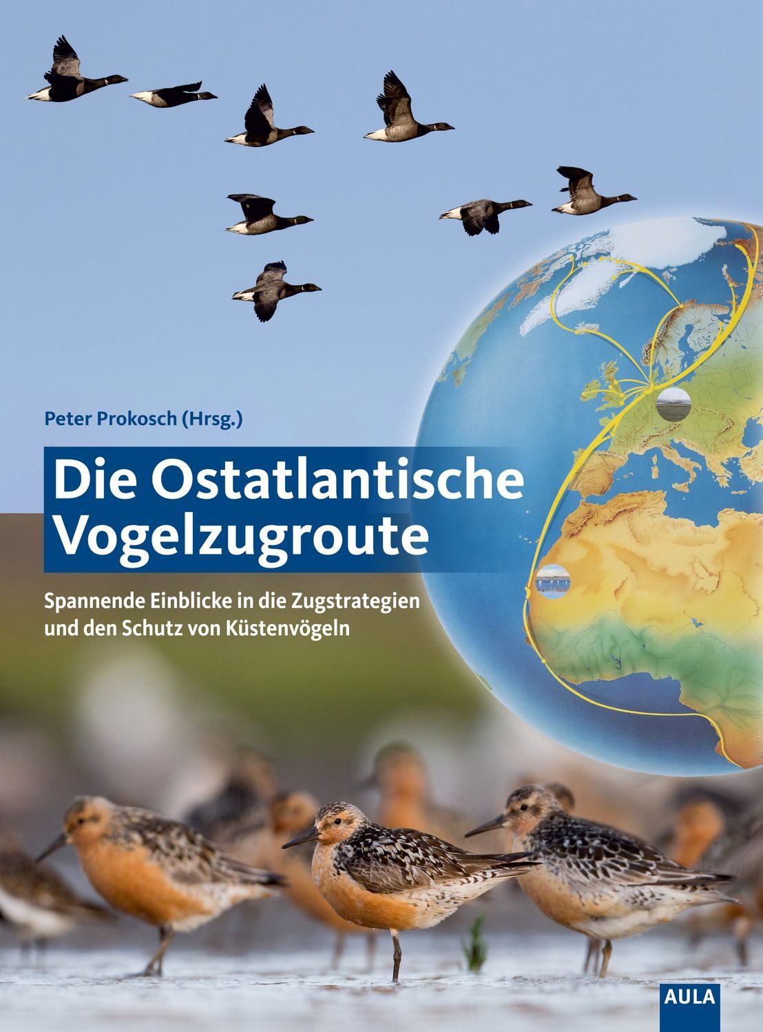 Die Ostatlantische Vogelzugroute / diverse