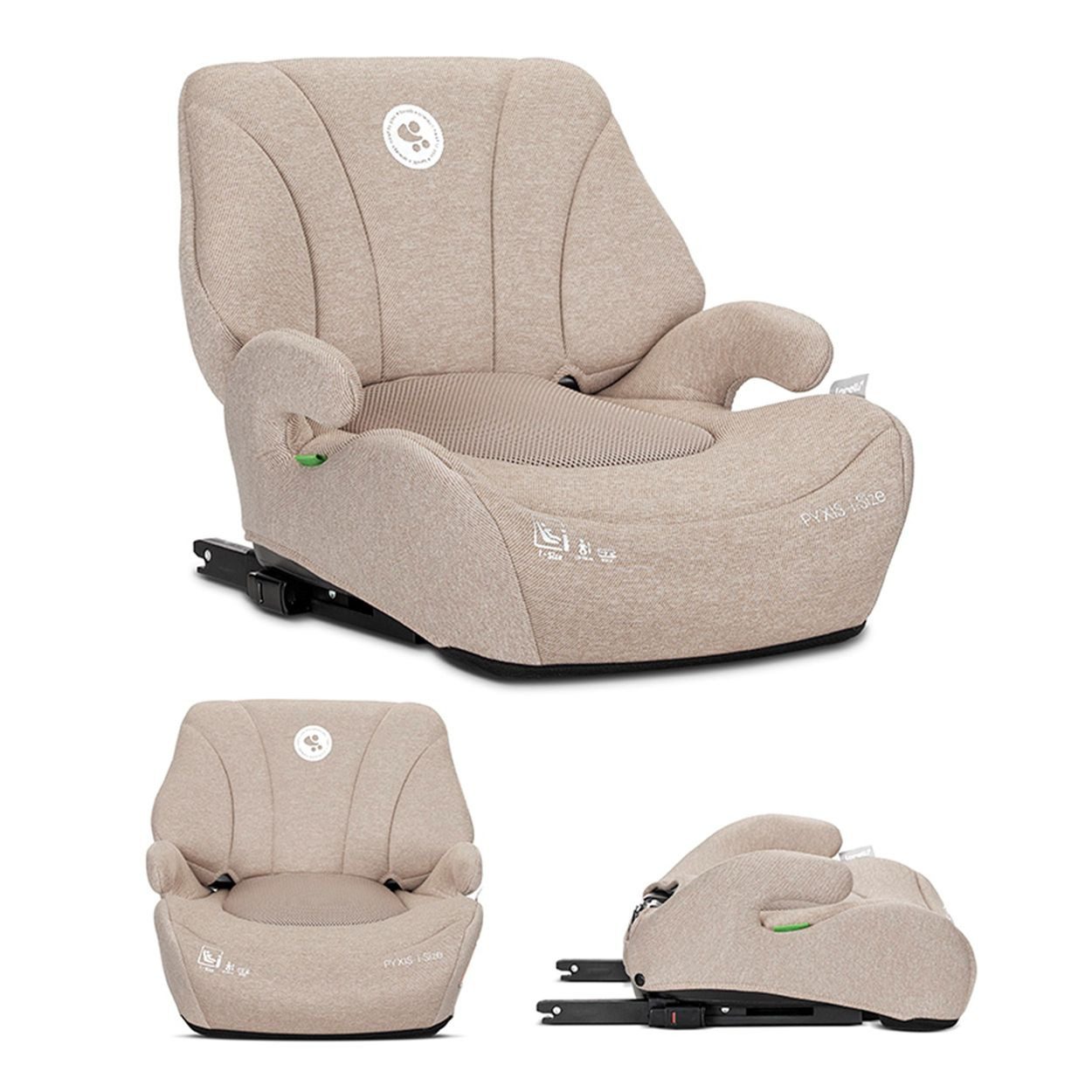 Lorelli Kindersitzerhöhung Sitzerhöhung Pyxis Isofix, ab: 6, bis: 12, 125-150 cm Rückenlehne abnehmbar EPS