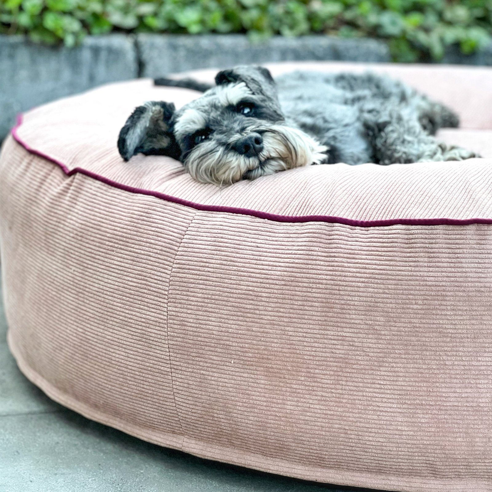 Mr. Cuddles Tierbett Lilly, Rundes Hundekissen, waschbarer Kord-Bezug, Tragegriff, Rosa, M: 80 cm