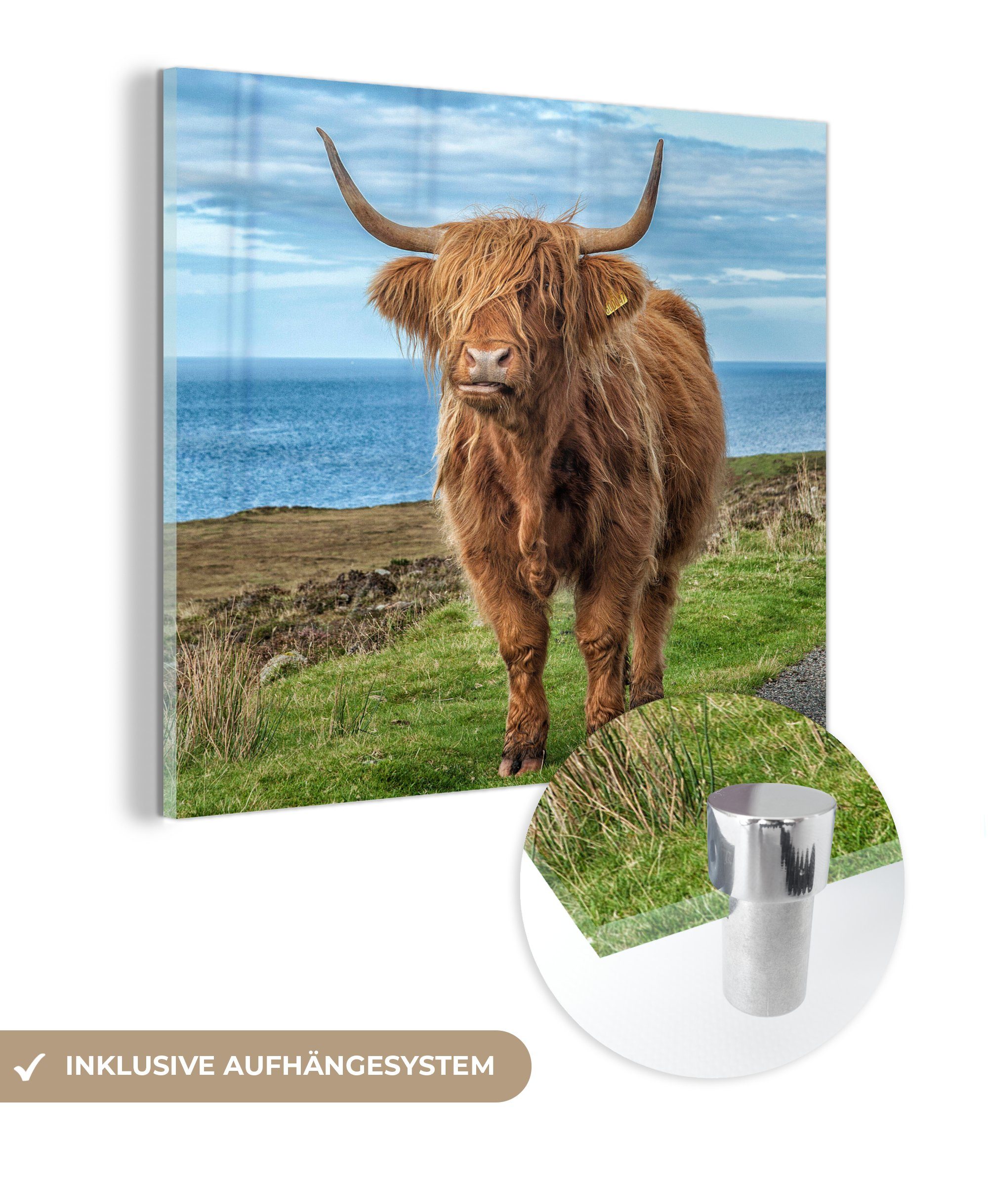 MuchoWow Acrylglasbild Schottische Highlander - Wolken - Landschaft, (1 St), Glasbilder - Bilder auf Glas Wandbild - Foto auf Glas - Wanddekoration bunt