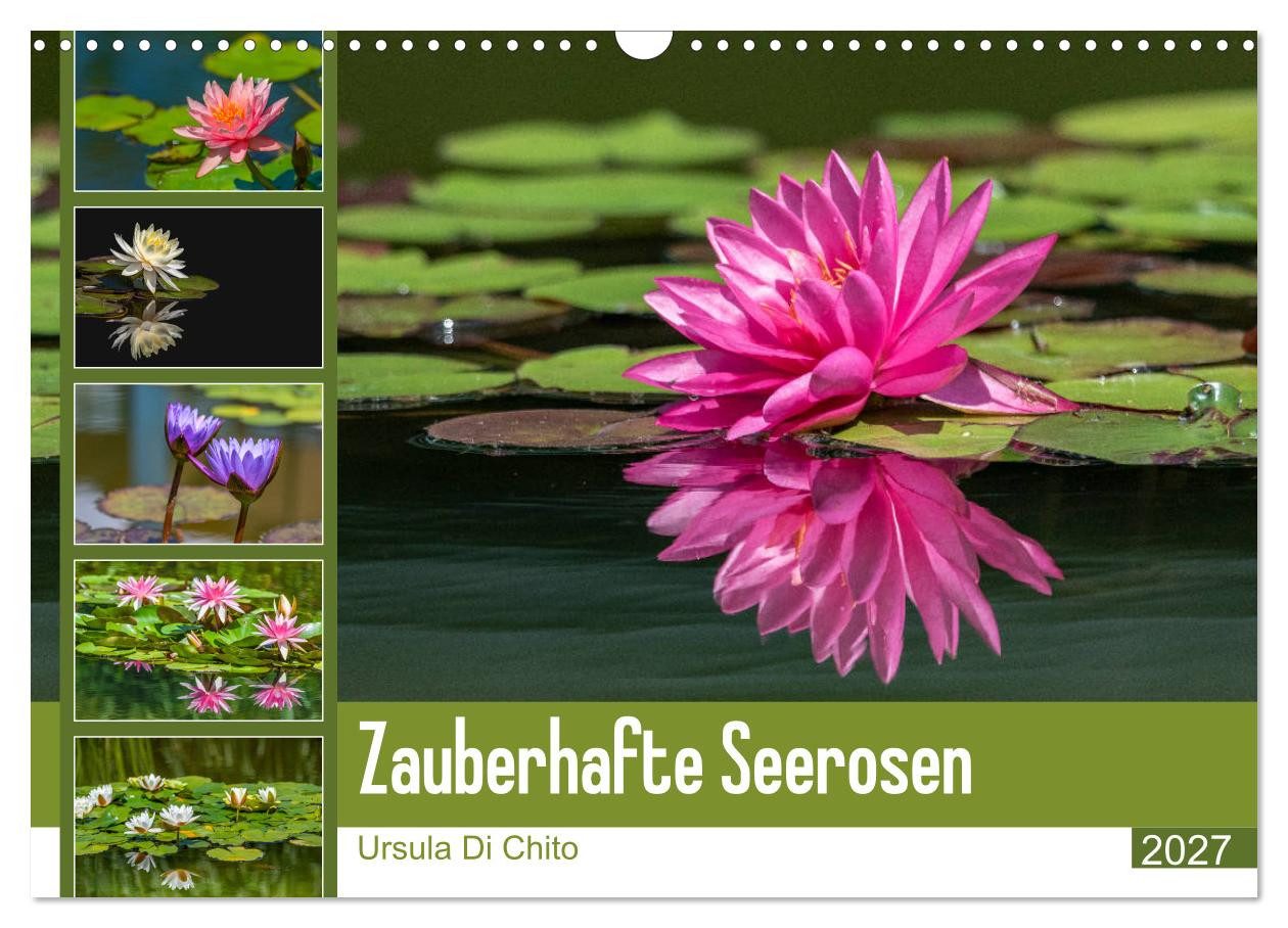 CALVENDO Wandkalender Zauberhafte Seerosen (Wandkalender 2027 DIN A3 quer), CALVENDO Monatsk