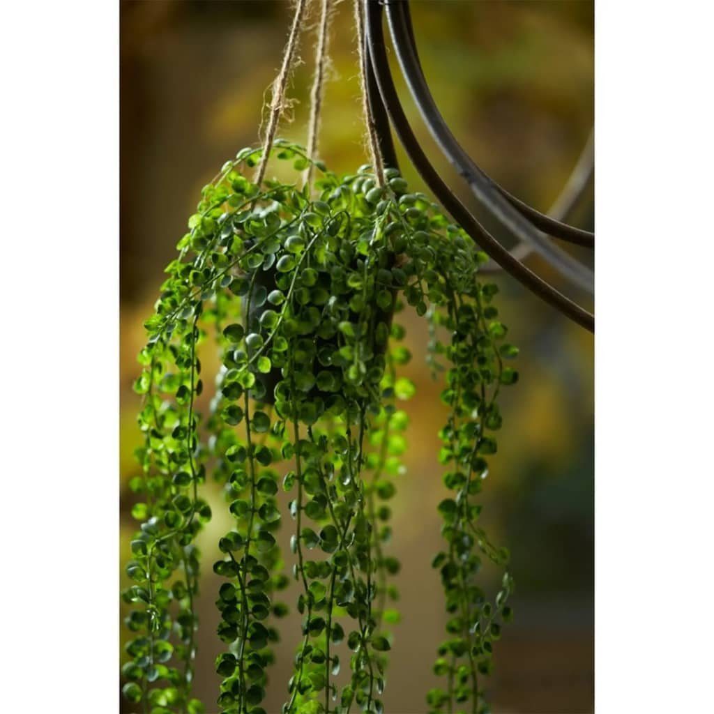 Botanic-Haus Kunstrasen Kunstpflanze Ficus Emerald, mit 60 mm Topf Höhe: Hängend 60 Pumila cm