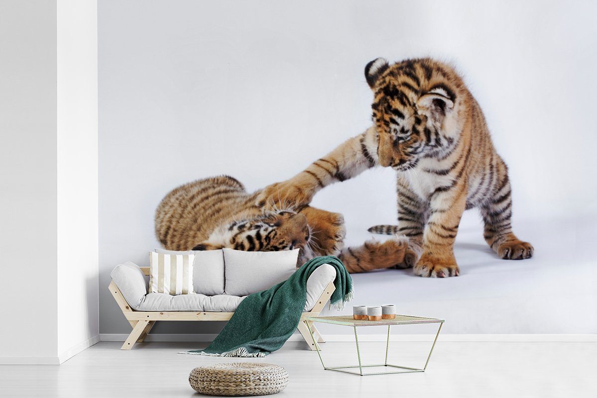 St), (6 Vinyl Fototapete Tapete Wallpaper Matt, Tiger für Jungtier Wohnzimmer, - bedruckt, - MuchoWow Schlafzimmer, Kinderzimmer, Weiß,