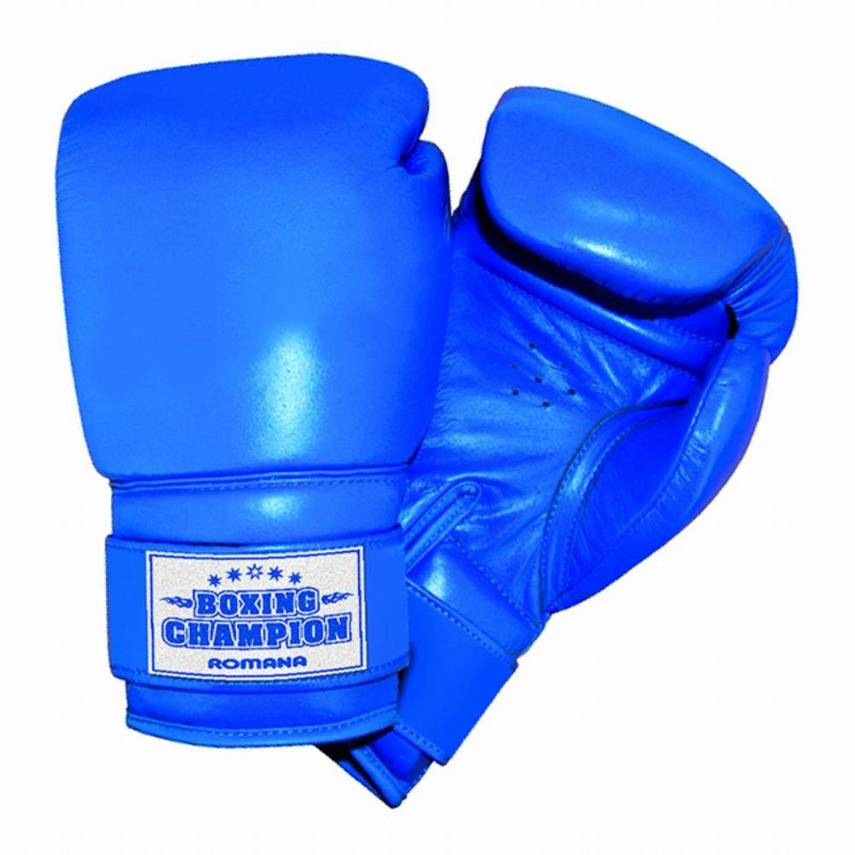 Wallbarz Boxhandschuhe Wallbarz Kinder 6 Oz blau Kunstleder Boxing Champion