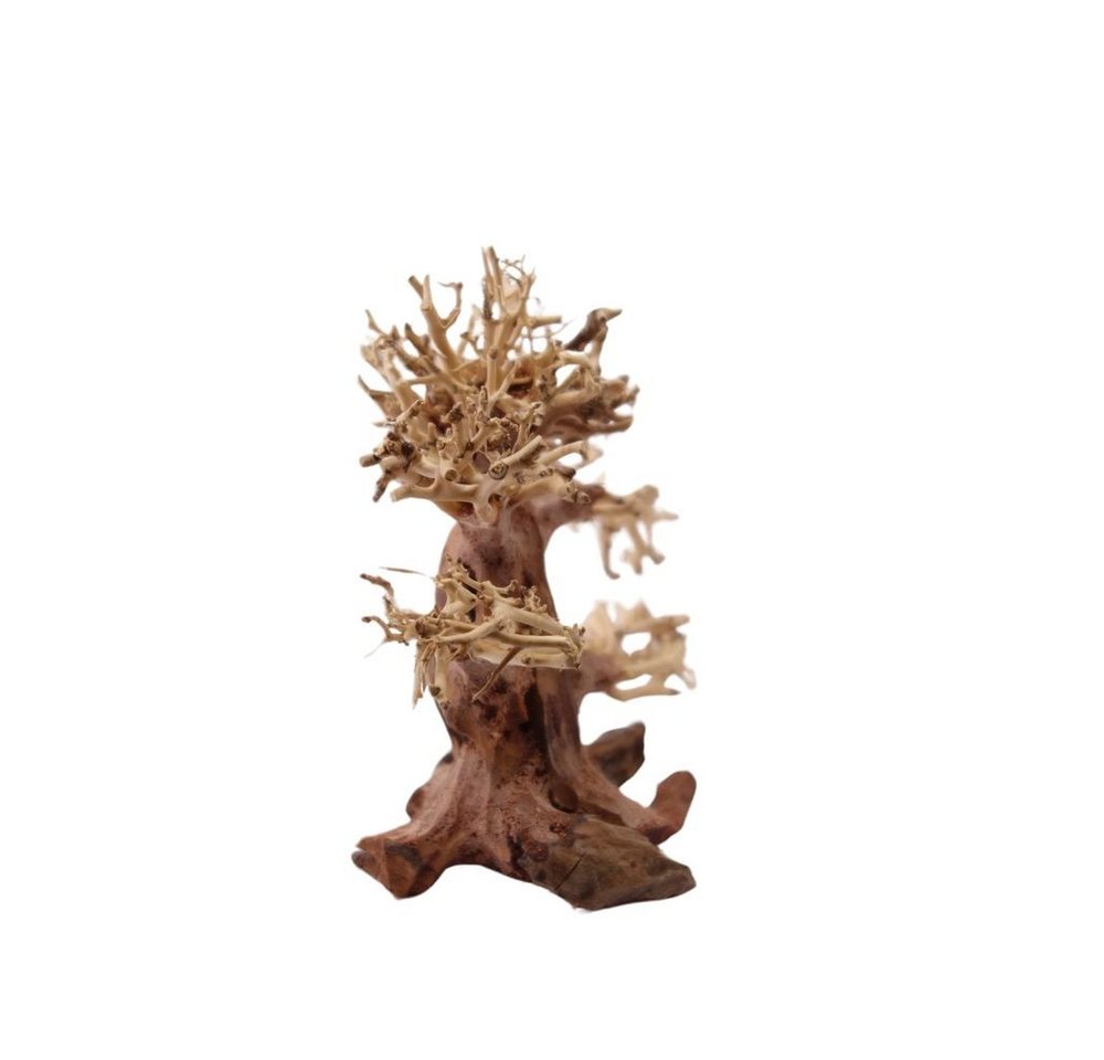 Thumbnail - Aquaone Aquarium M Bonsai Baum Nr.1011 Wurzel Holz Aquarium Deko Aquascaping