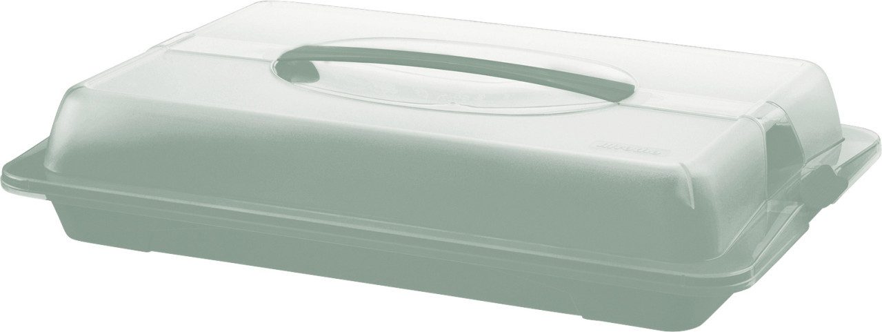 ROTHO Kuchentransportbox Rotho Partybutler JOHN medium mistletoe grün, Kunststoff