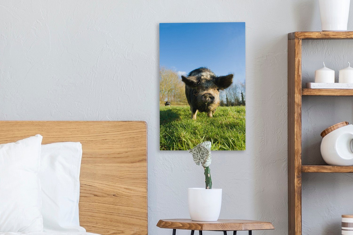 OneMillionCanvasses® Leinwandbild Pendelschwein Schwein, Gemälde, St), (1 - Zackenaufhänger, 20x30 bespannt inkl. - Gras cm Leinwandbild fertig