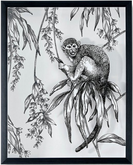 Art for the home Bilderrahmen »Saimiri Monkey«, (1 Stück)-Otto
