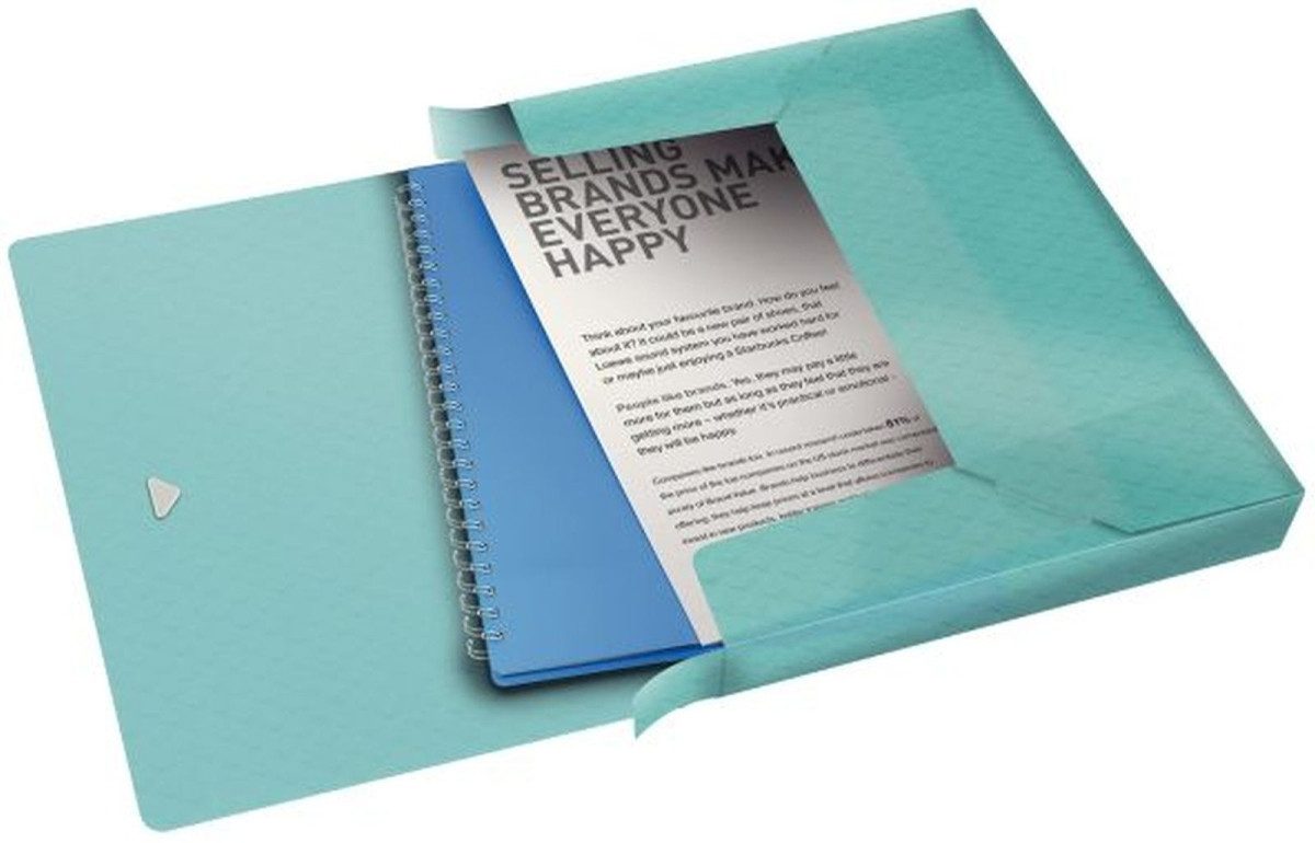 ESSELTE Fächermappe Ablagebox Colour'Ice A4 PP 40mm blau