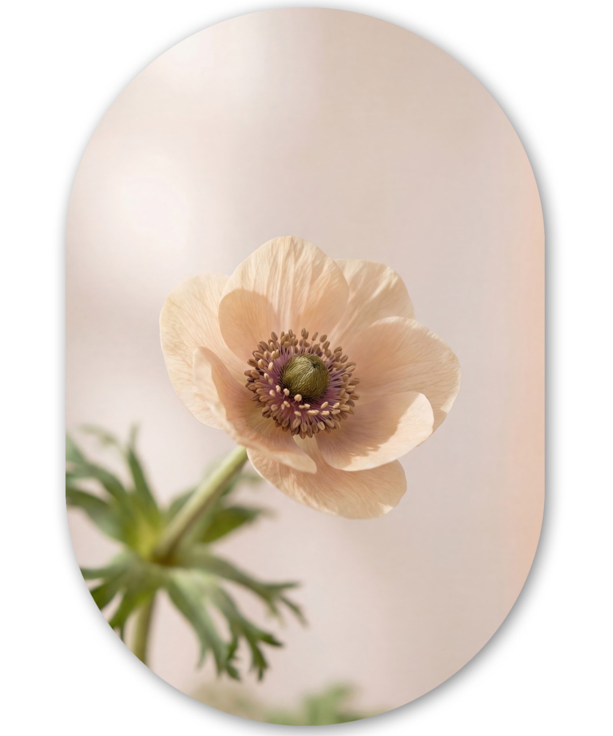 MuchoWow Gemälde Blume - Minimalistisch - Grün, Fotodruck (1 St), Wandbild Oval, Wohnzimmer oder Schlafzimmer Wanddekoration, 40x60 cm